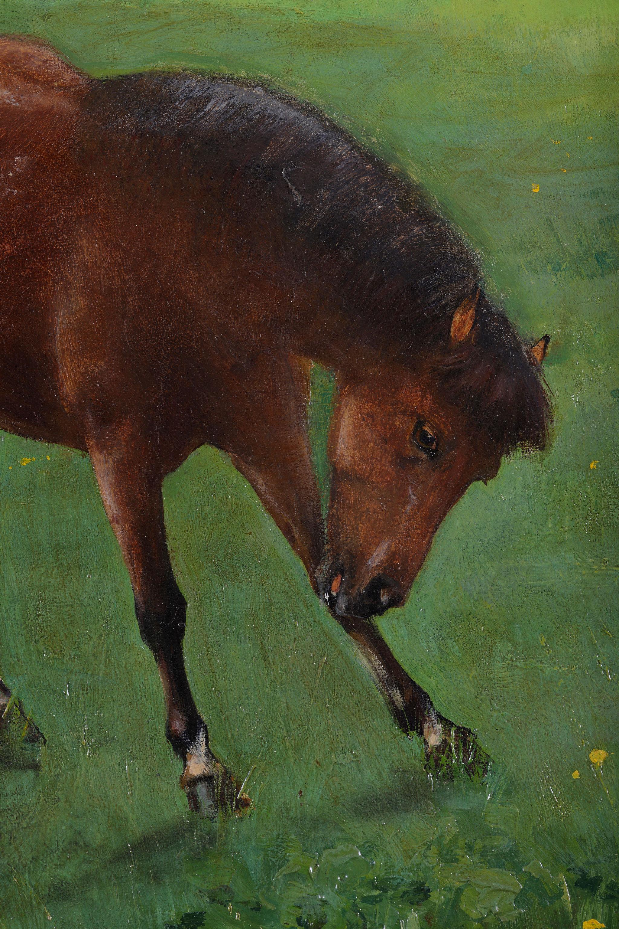 William Frank CALDERON
Peinture à l'huile signée et datée de 1891.
Une peinture magnifique d'un cheval de course avec son compagnon, un poney, pour qu'il reste calme et ne se sente pas seul.
Taille de l'image : 25 x 36