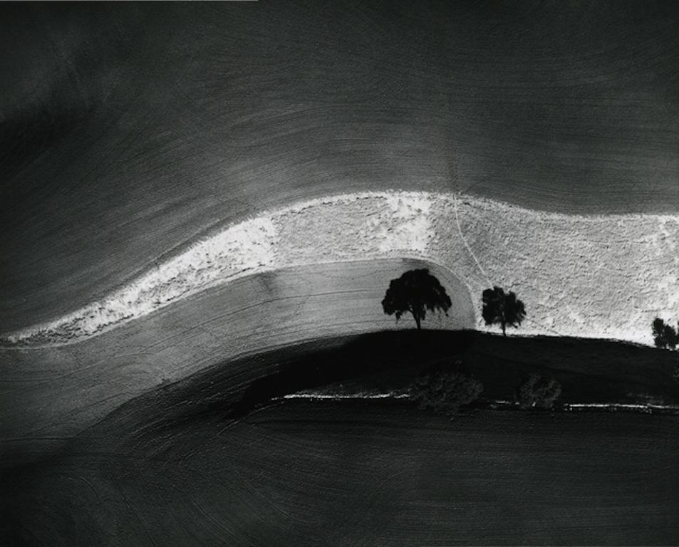 William Garnett Black and White Photograph - Two Trees on Hill with Shadows, Paso Robles, Black and White Landscape, 