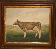 Ayrshire, the Perfect Cow