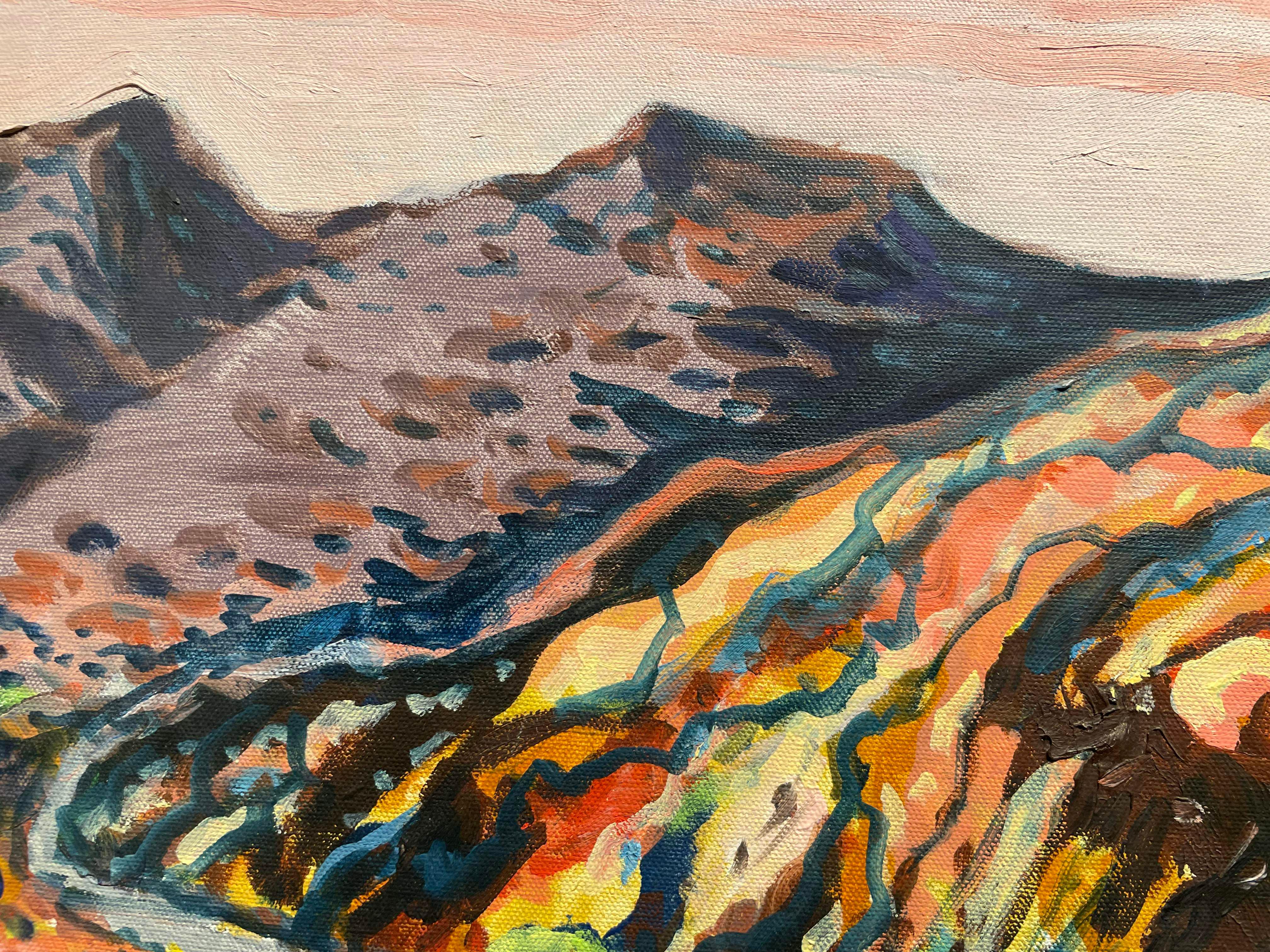 Taos, New Mexico, un vibrante paesaggio occidentale in vendita 6