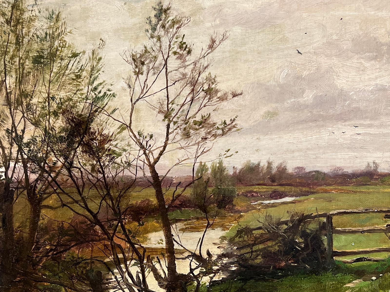 william greaves