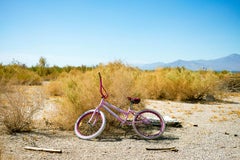 Pink Bicycle, Sultan Sea, CA - Desert Landscape, Mountains, California, Bike
