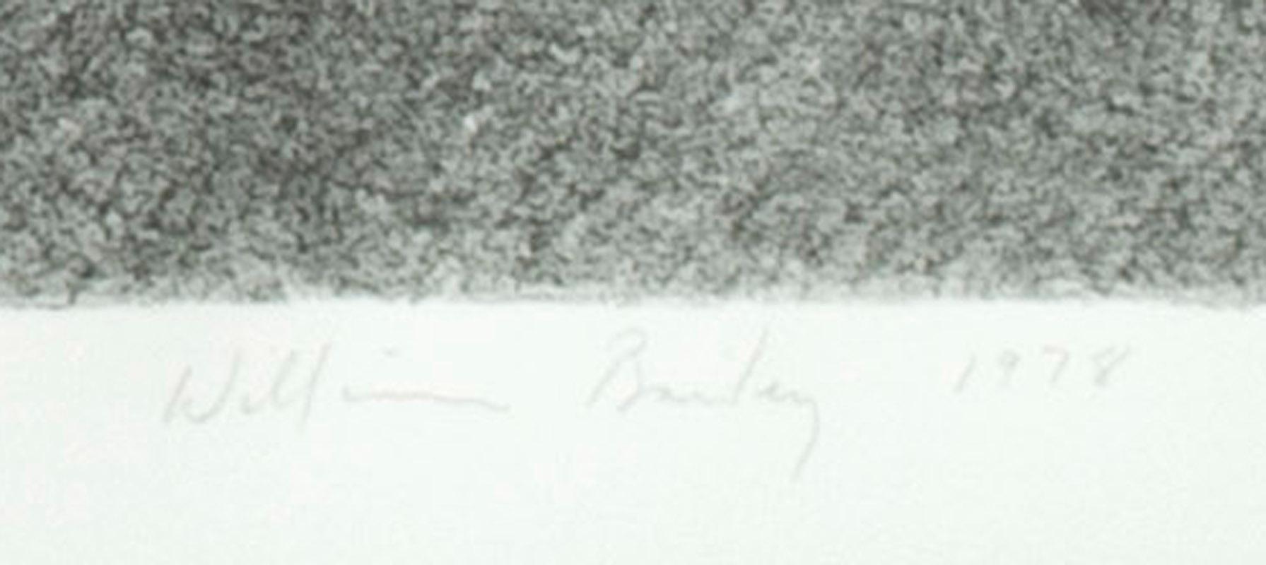 Nature morte n° 5
Lithographie, 1978
Signé, daté et numéroté au crayon (voir photos)
Edition : 50 (24/50)
Publié par Solo Press, New York, 1978
Imprimeur : Judith Solodkin, première femme maître imprimeur diplômée de l'Institut Tamarind.
Condit :