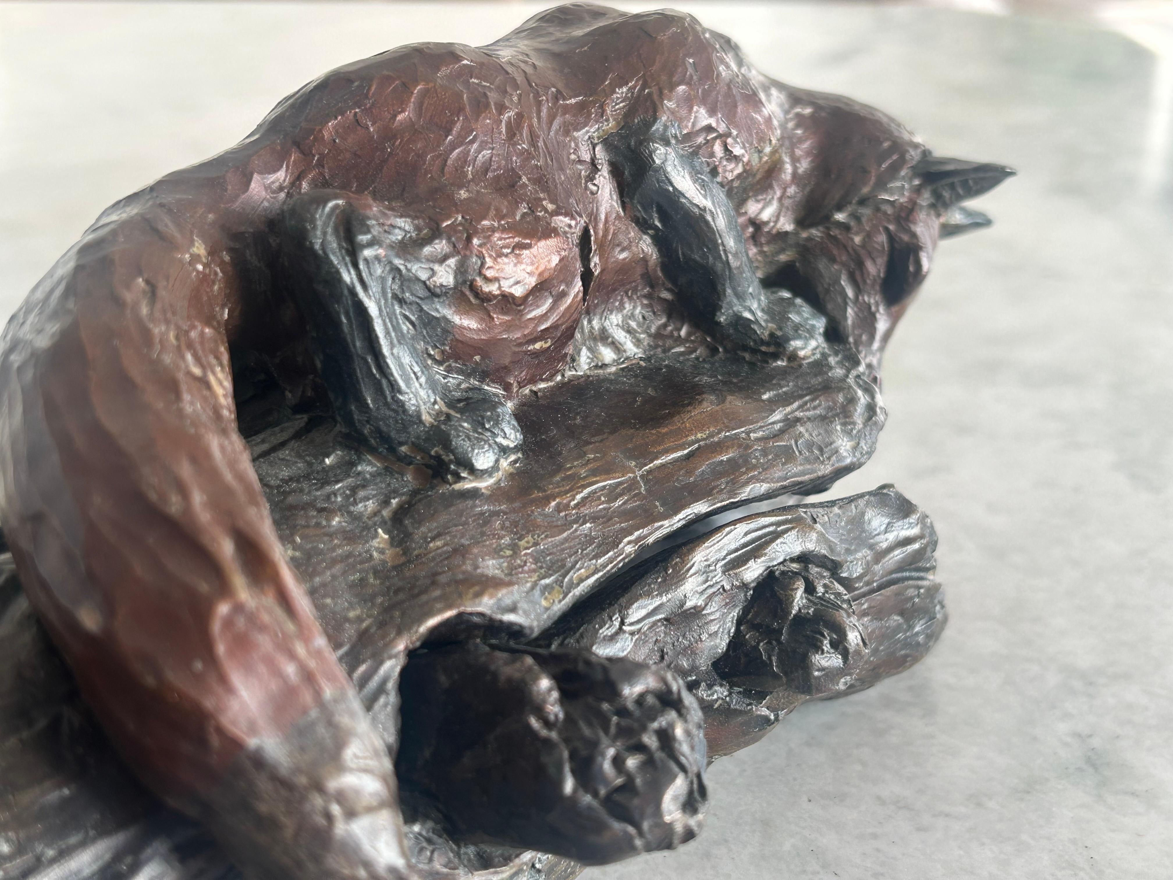 William H. Turner, Volpe e coniglio 1996 bronzo in vendita 10