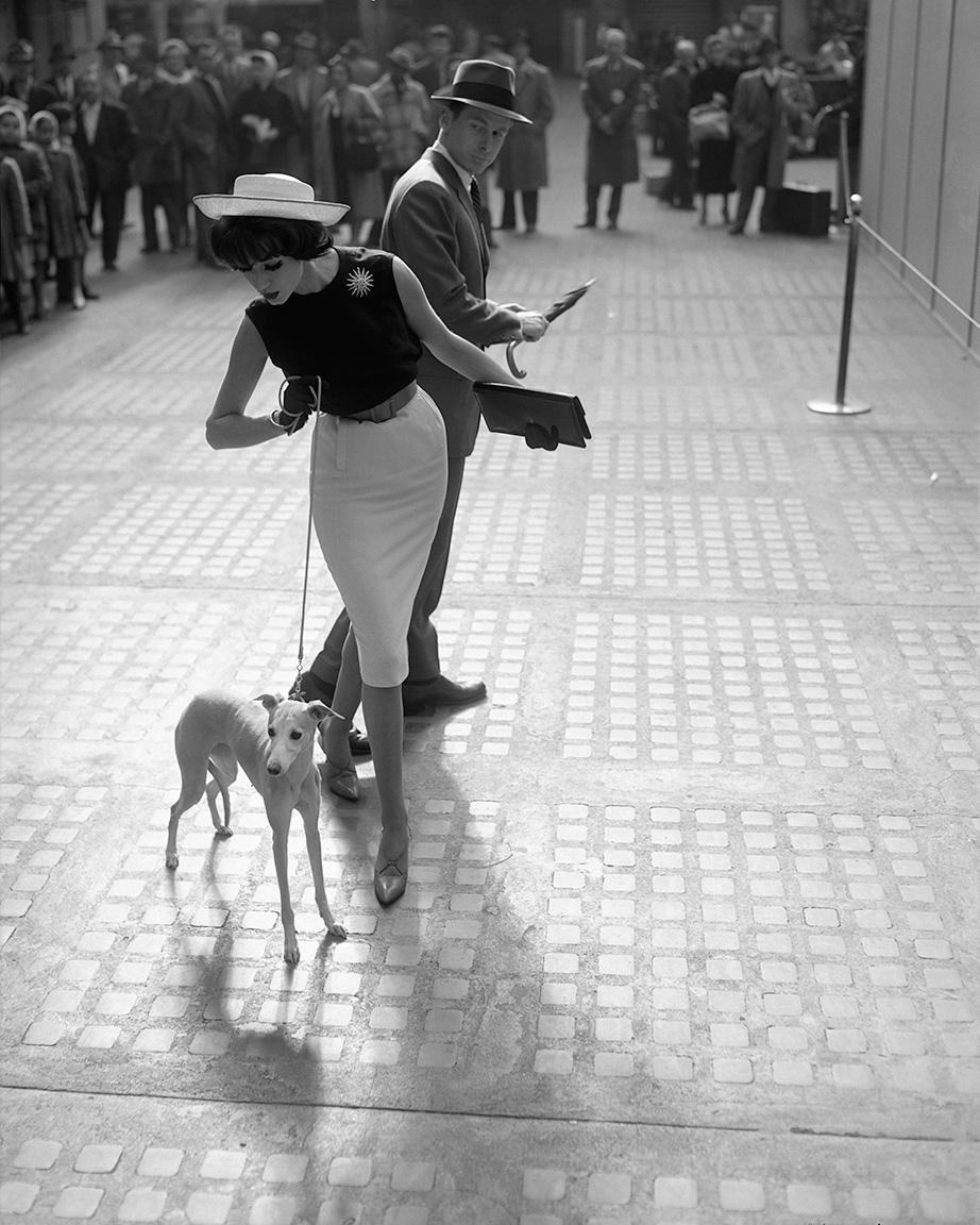William Helburn Black and White Photograph - Simone with Whippet, 1959