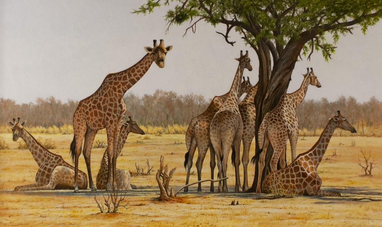 William Henry Bishop Landscape Painting - Giraffes Resting in the Shade of a Thorn Tree, Savute Reserve, Botswana.