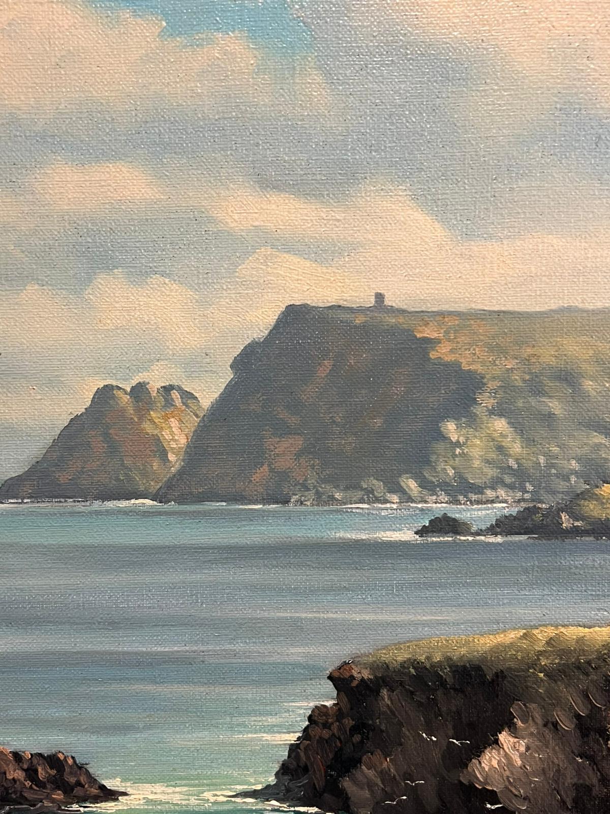 Paisaje costero irlandés Acantilados y océano Glen Head Condado de Donegal Pintura grande en venta 6