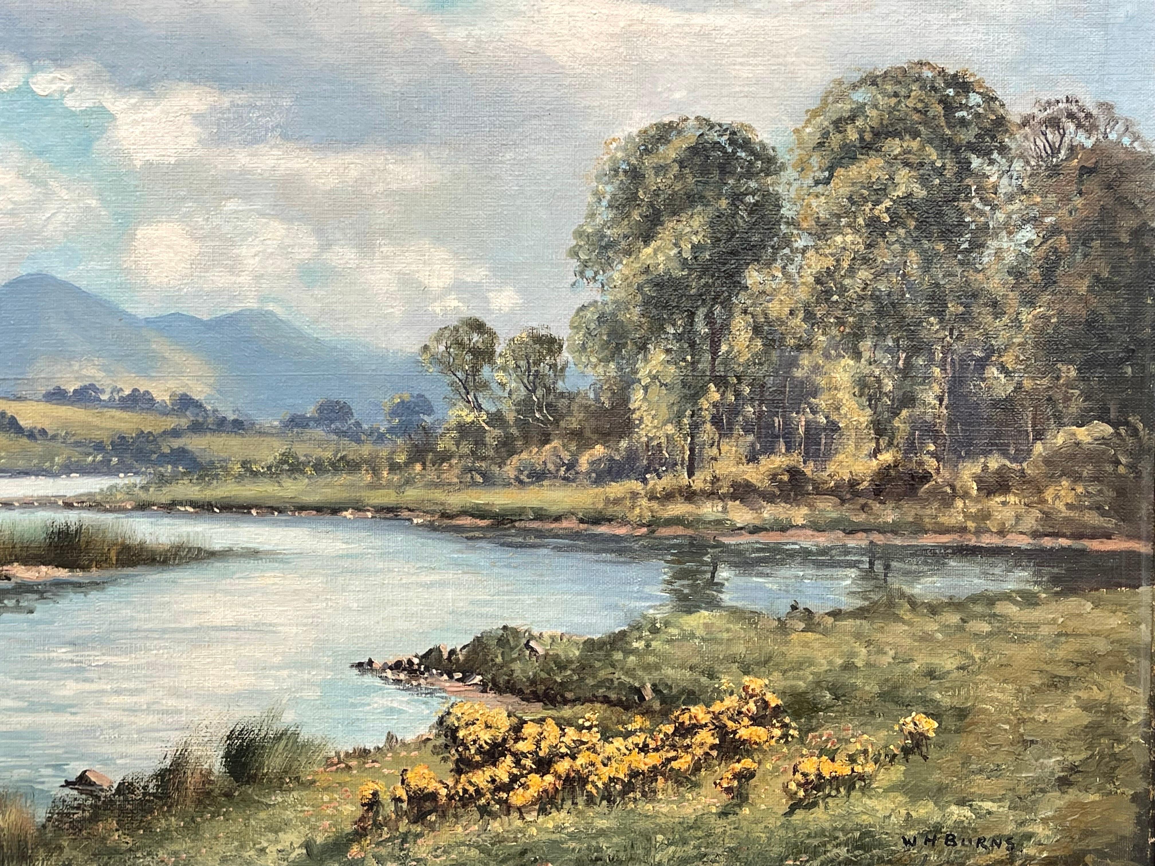 Original Oil Painting of Mountain River Scene in Ireland by Modern Irish Artist 4