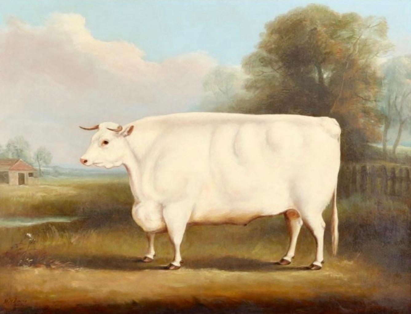 Un toro de cuernos cortos en un paisaje - Painting de William Henry Davis