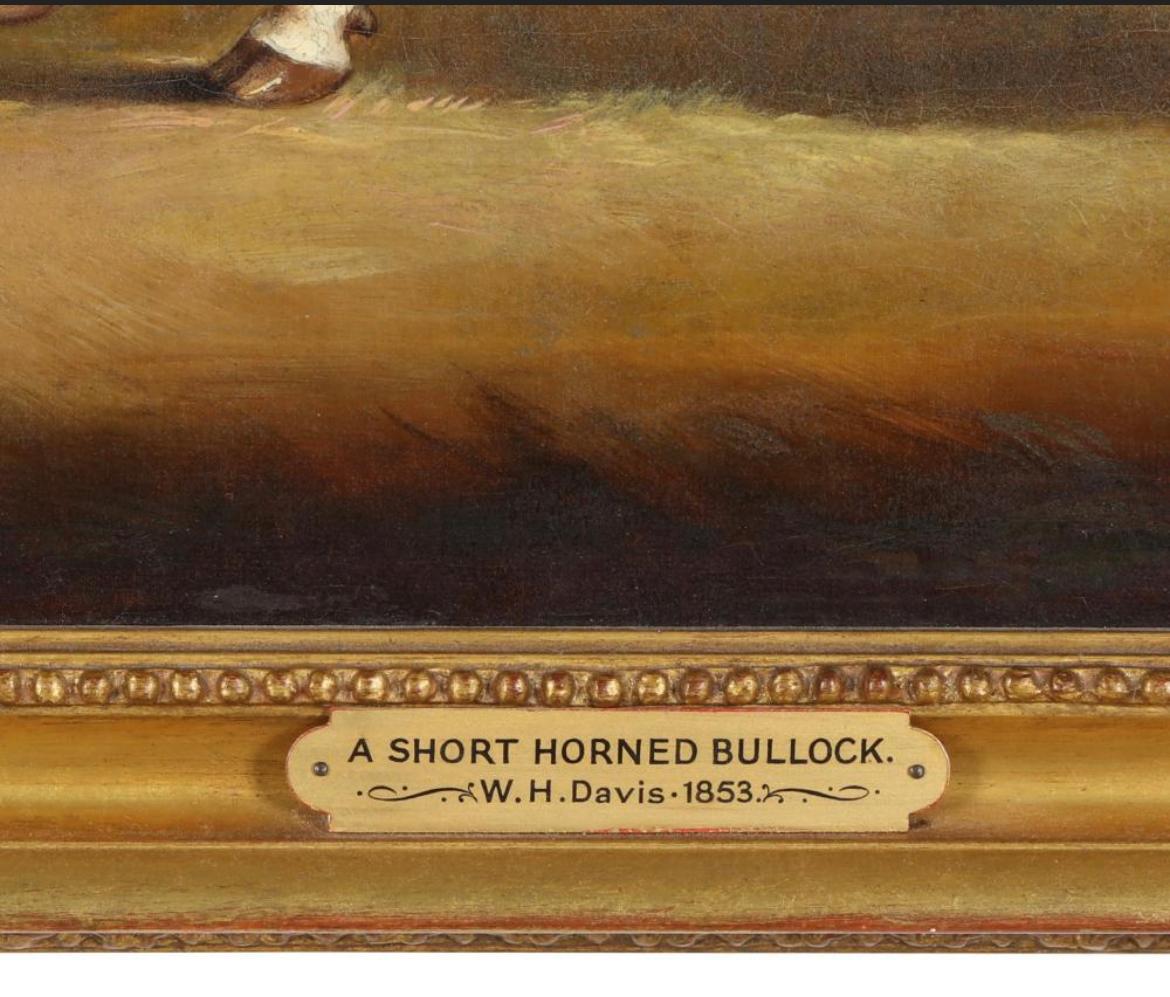 Un toro de cuernos cortos en un paisaje - Painting Arte popular de William Henry Davis