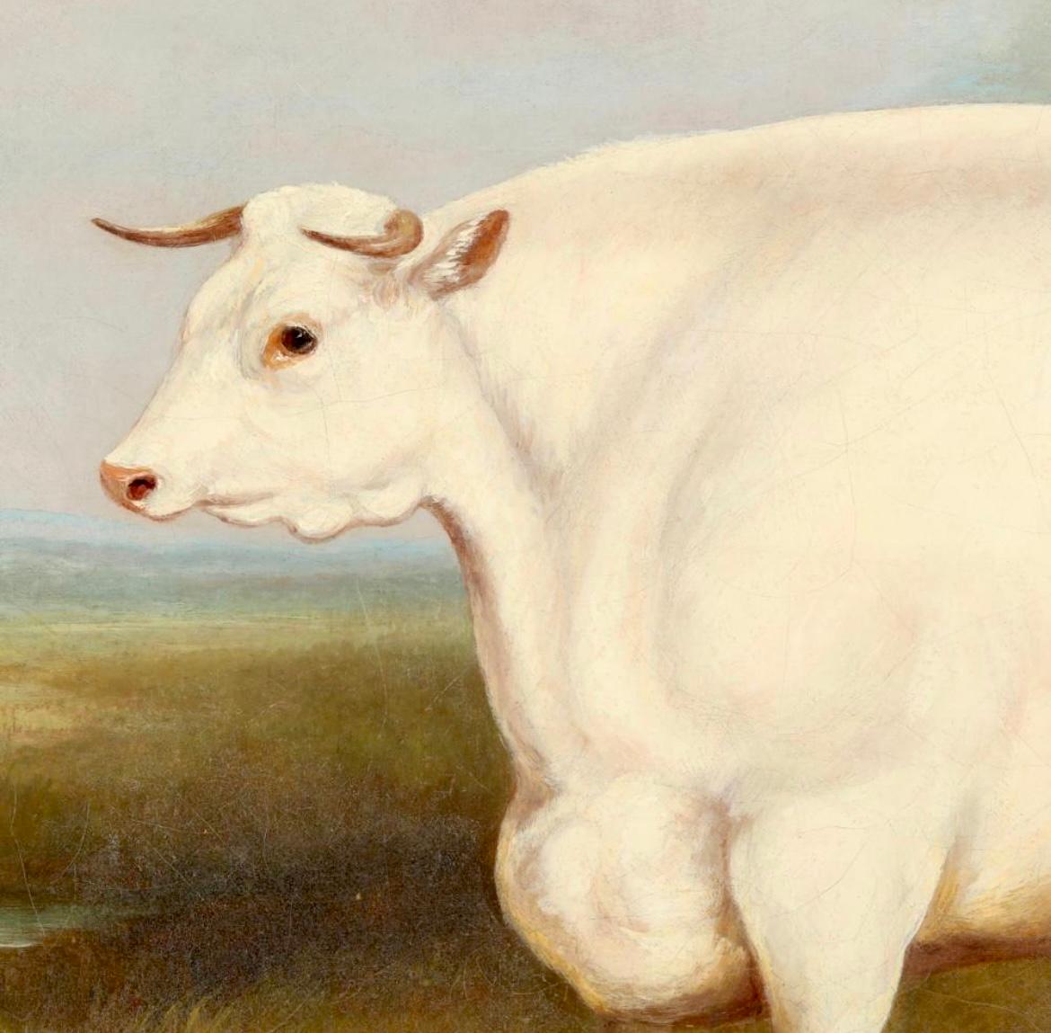 Un toro de cuernos cortos en un paisaje - Animal Painting Marrón de William Henry Davis