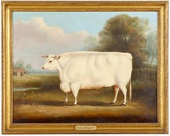 A Short Horned Bull in a Landscape