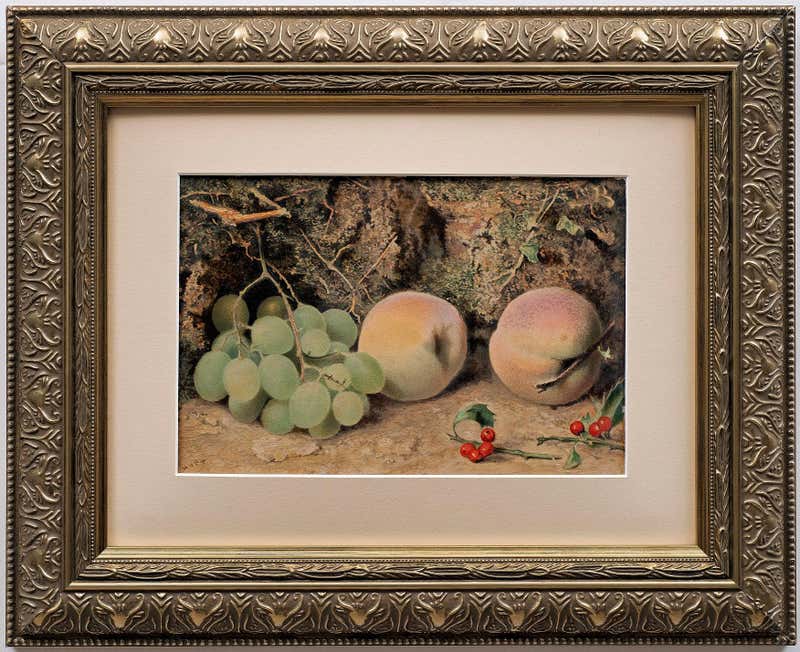 Frankie Gollub - Outerbanks Whelk Shell and Distaff Spindle, still-life ...