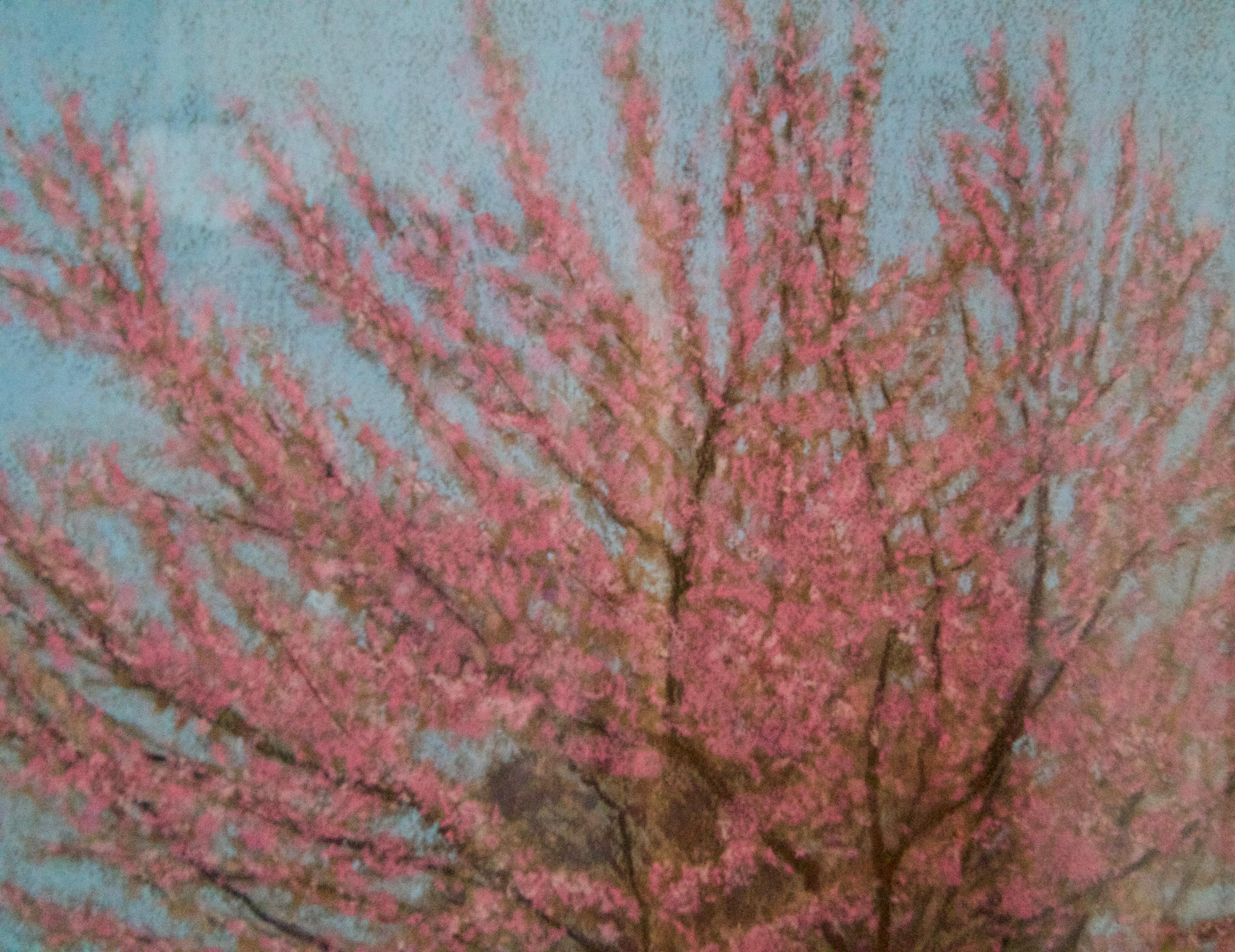 Parco degli alberi di mele in fiore - Paesaggio impressionista della metà del XX secolo, olio di Innes - Painting Postimpressionismo di William Henry Innes