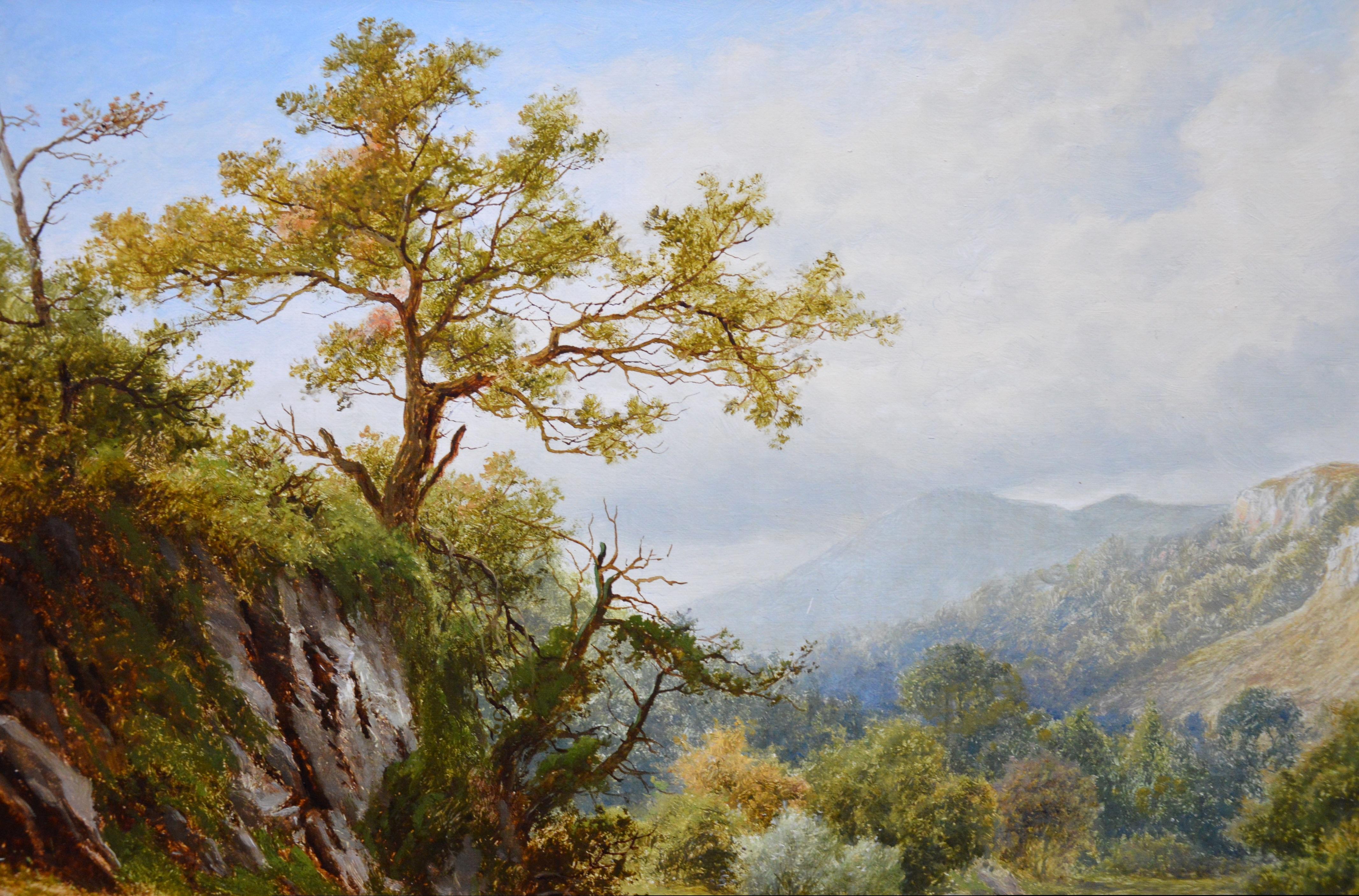 The Lledr Valley, North Wales - 19th Century River Landscape Oil Painting 1