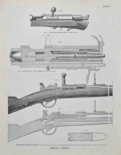 Piccole armi - Litografia di William Williams - 1872