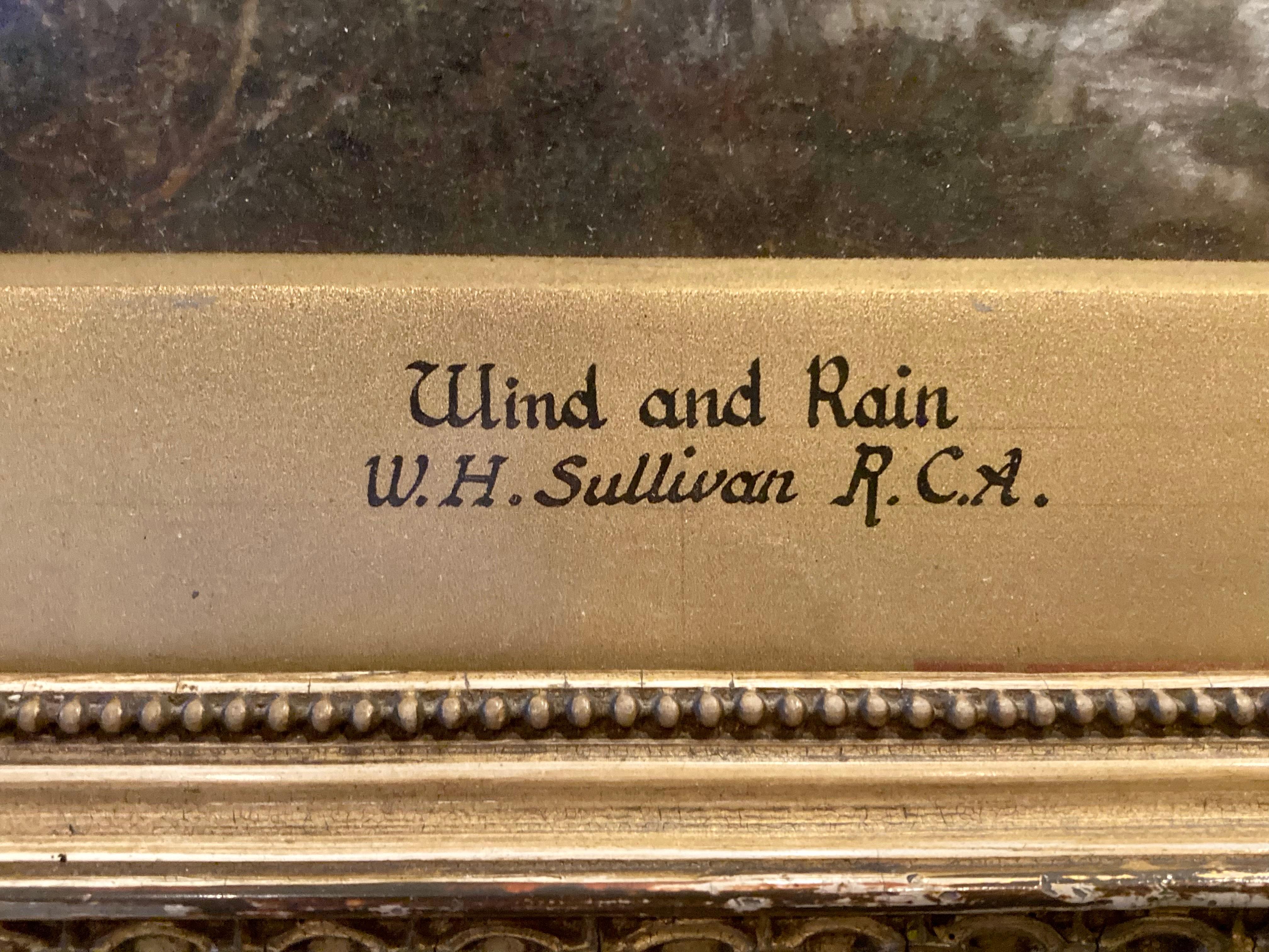 „Wurzeln und Regen“ im Angebot 2