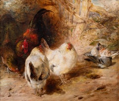 A group of fowl - Chickens & pigeons