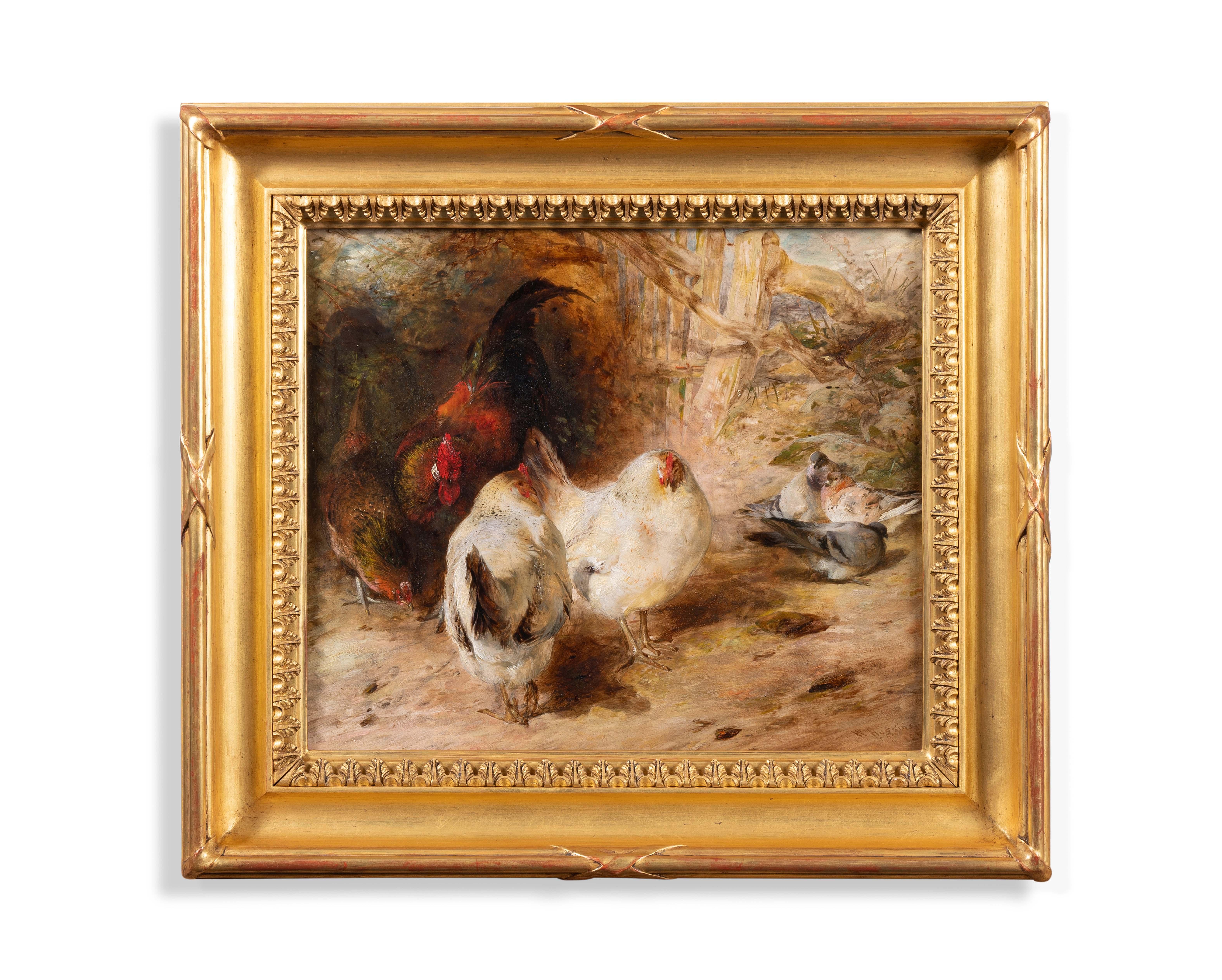A group of fowl - Chickens & pigeons