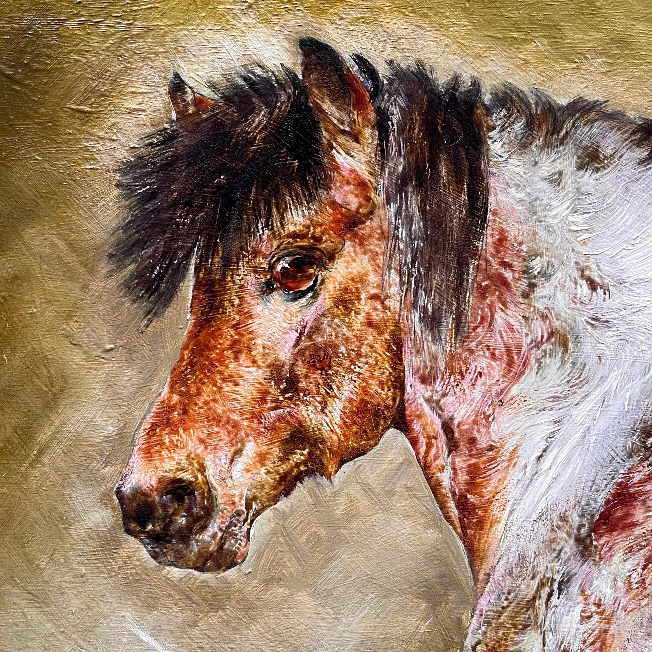 Studie über ein Pony im Angebot 1