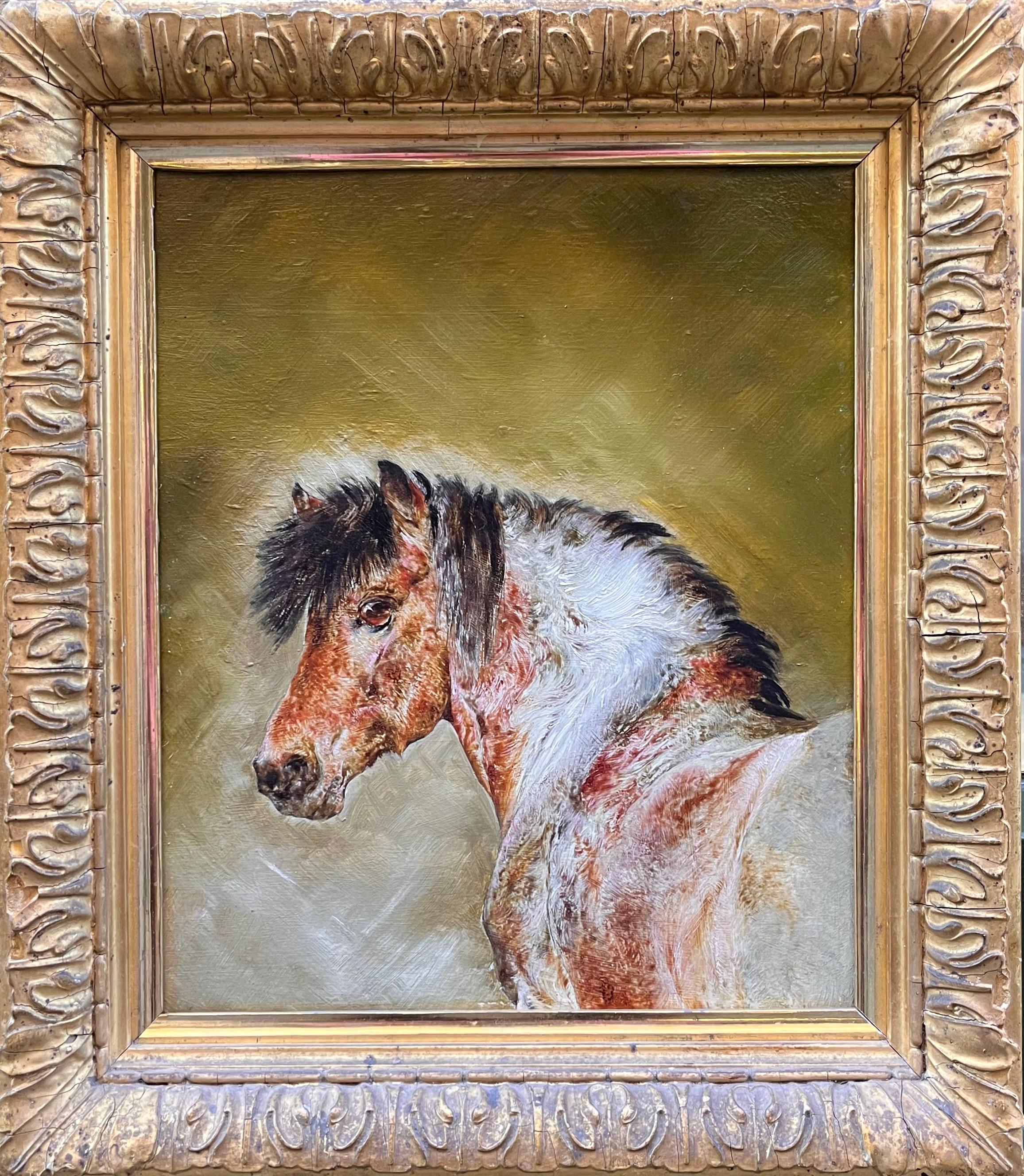 Studie über ein Pony
