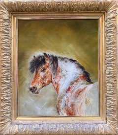 Studie über ein Pony