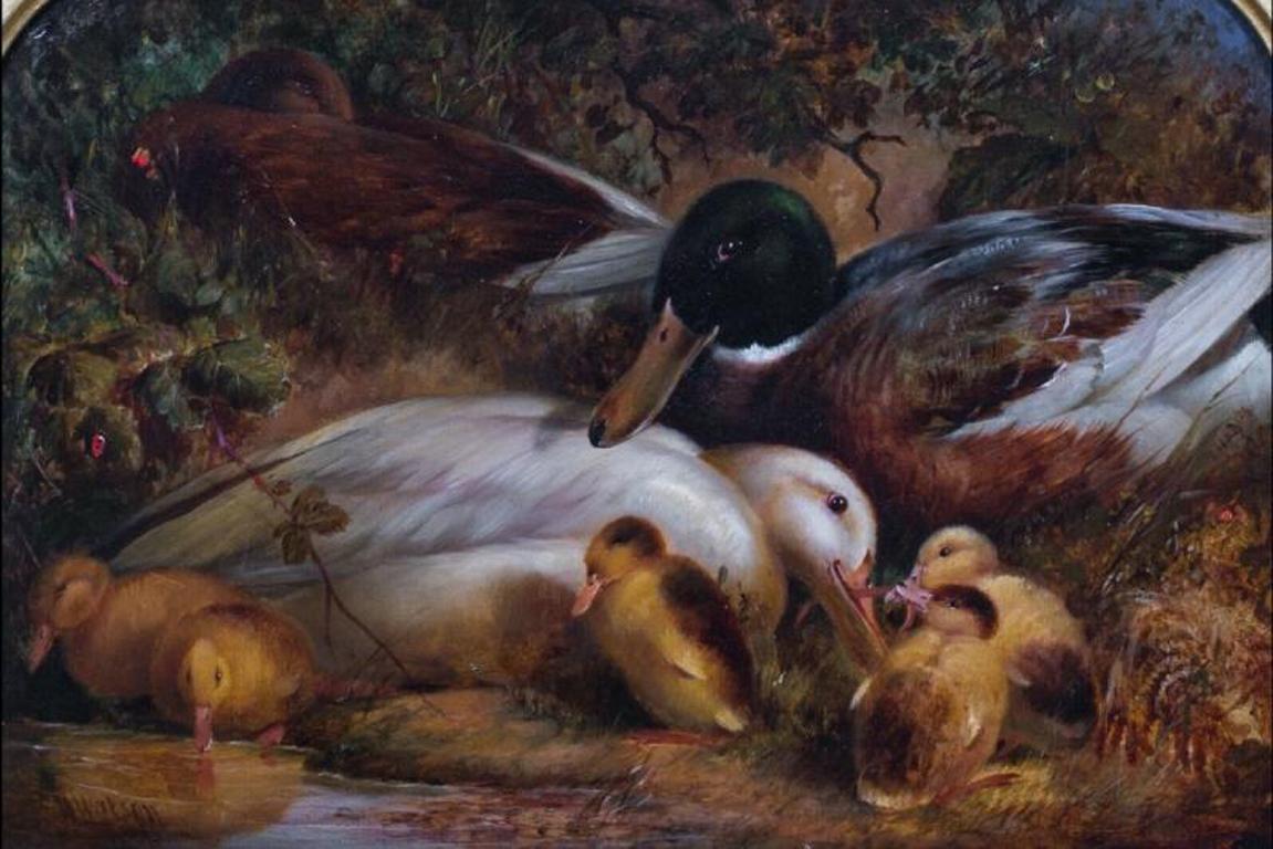 Une famille de canards, 19ème siècle par William II Watson (1831-1921) - Painting de William Ii Watson