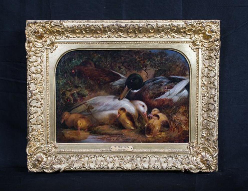 Une famille de canards, 19ème siècle par William II Watson (1831-1921) - Gris Animal Painting par William Ii Watson