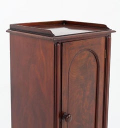 William IV Bedside Chest Mahogany Cabinet 19th C