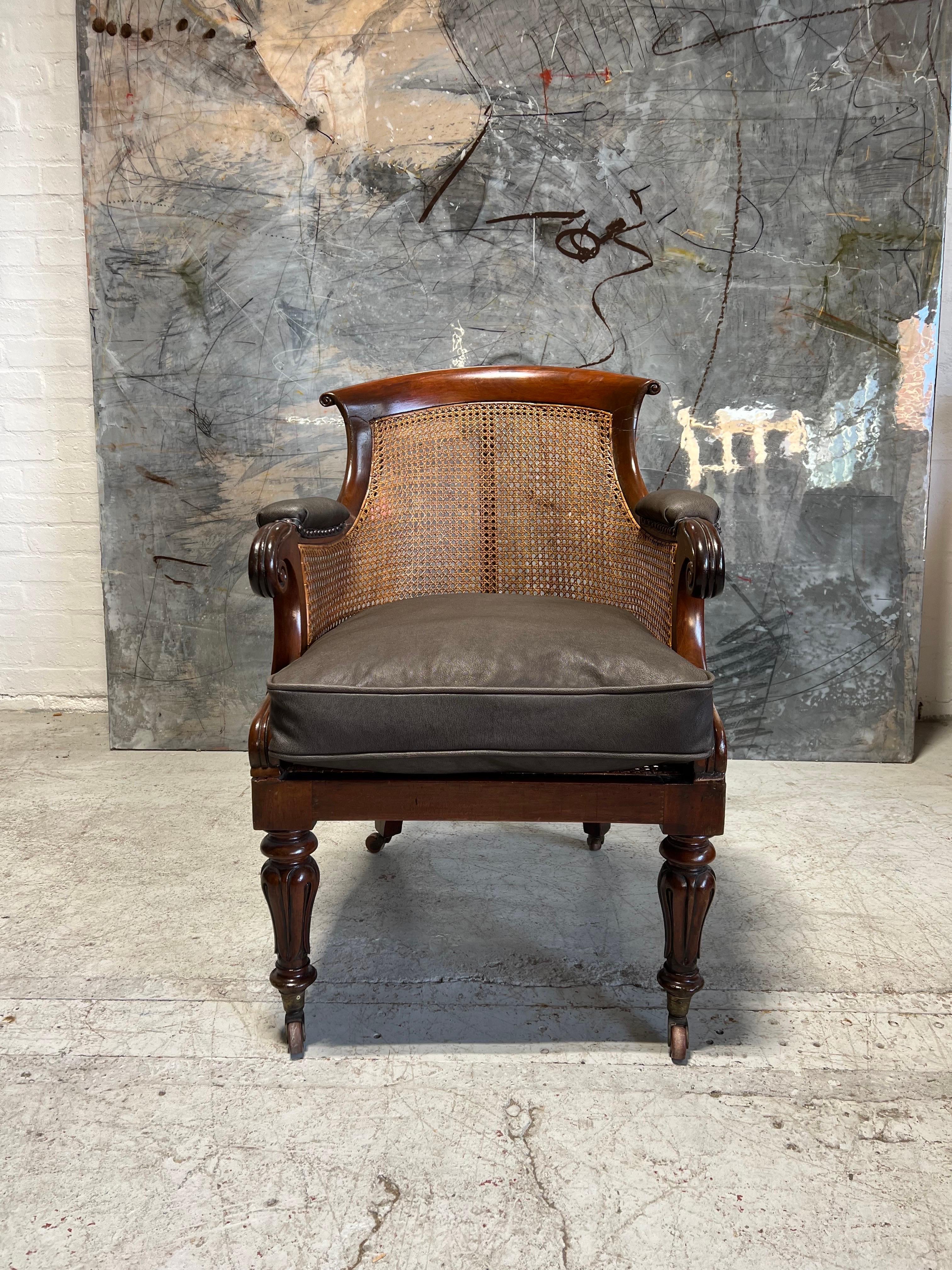 William IV Bergere finished with Goat Skin Leather For Sale 1