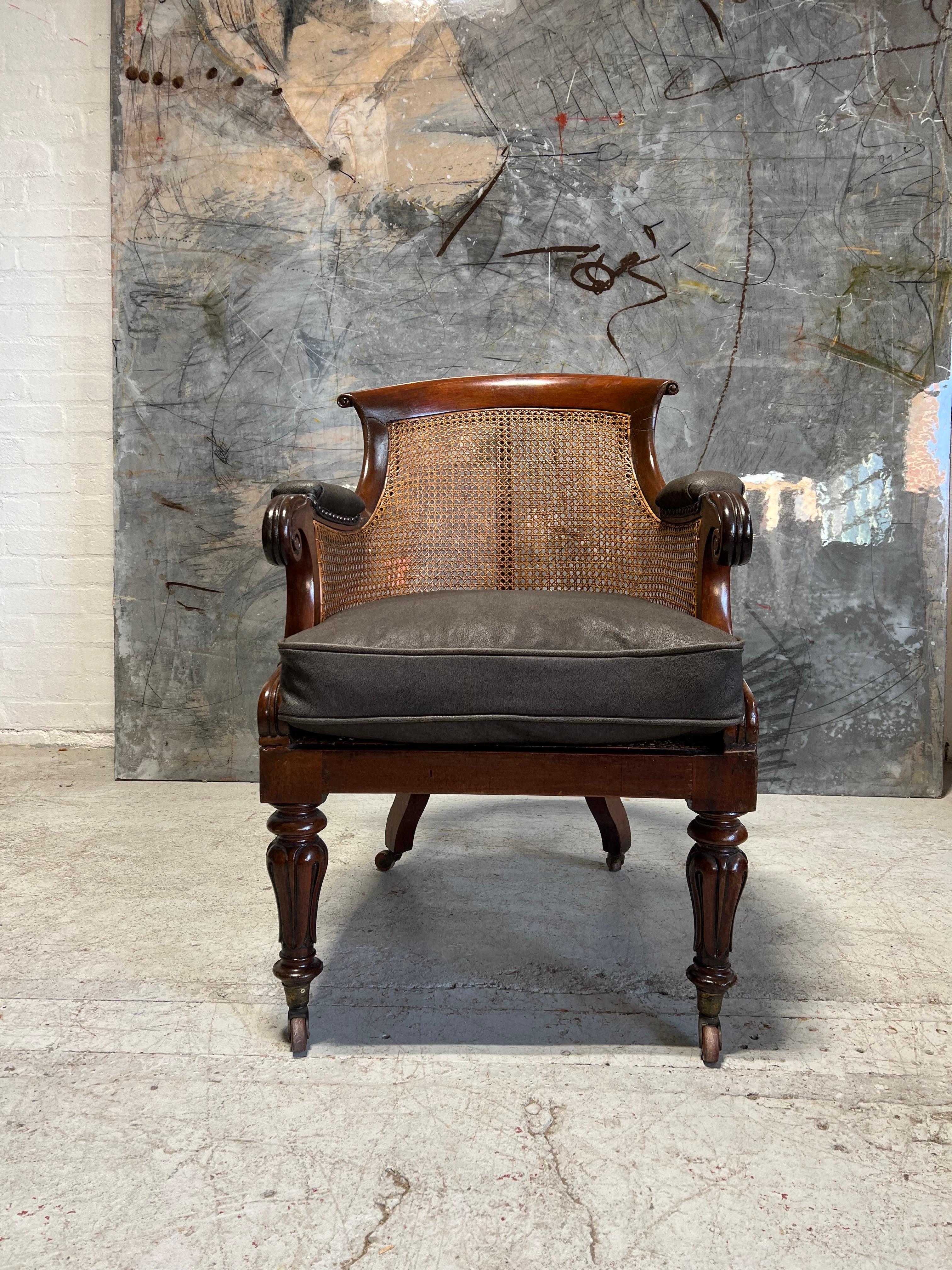 William IV Bergere finished with Goat Skin Leather For Sale 2