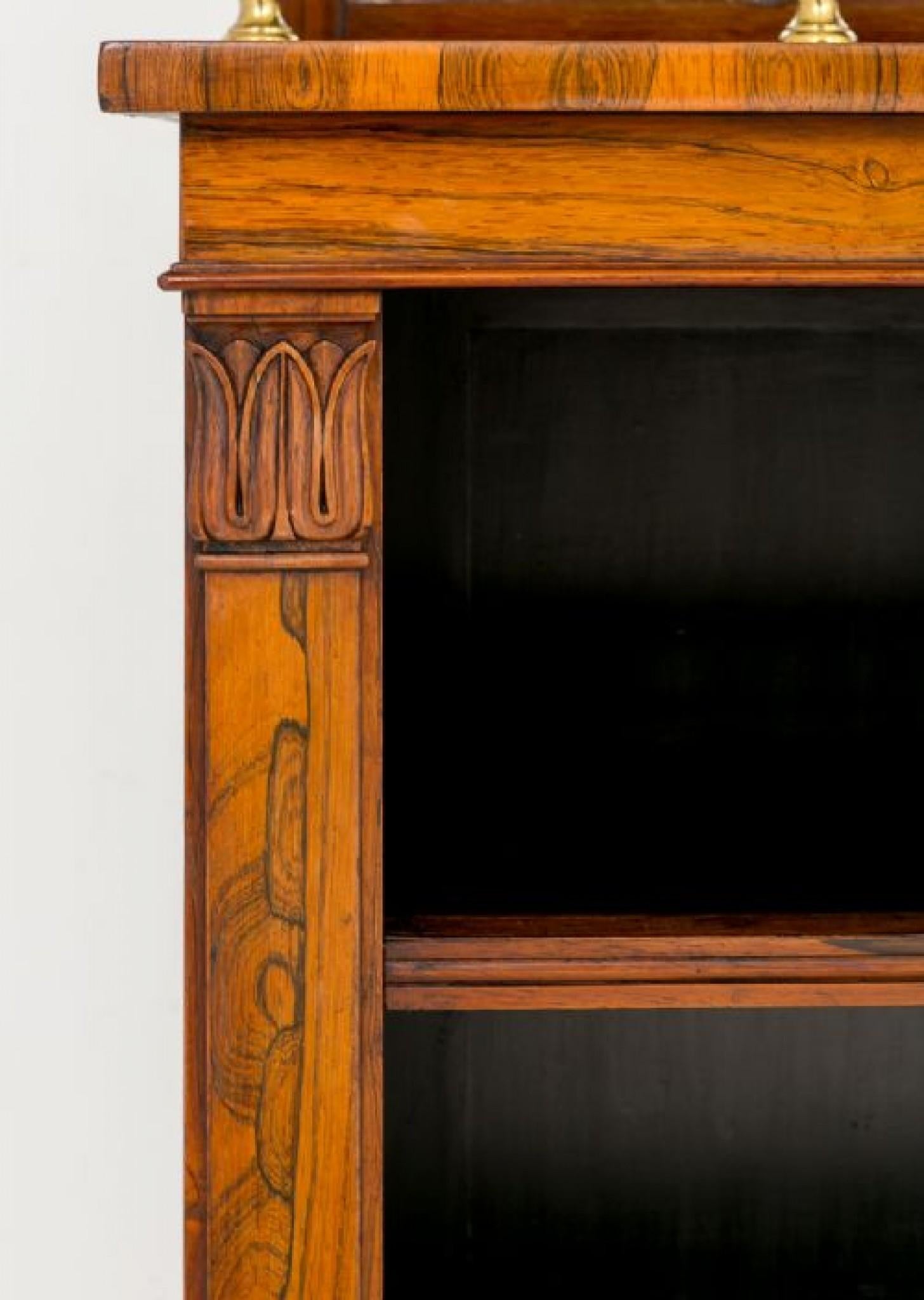 Libreria William IV in Rosewood a fronte aperto del XIX secolo, antica in vendita 3