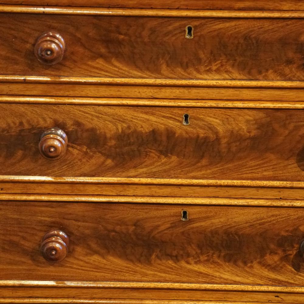 Mahogany William IV Channel Islands chest of drawers For Sale