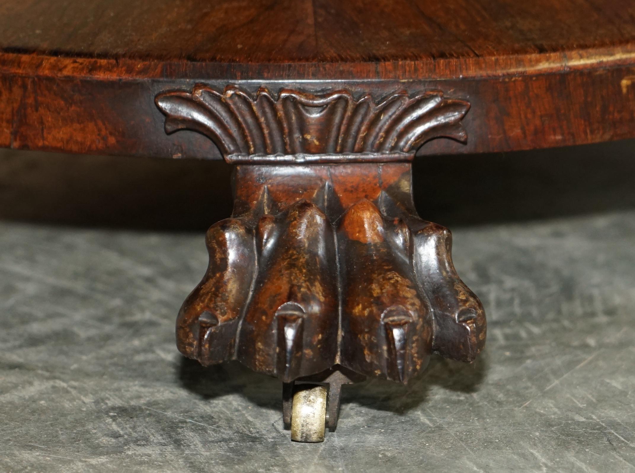 William IV circa 1830 Antique Hardwood Lions Hairy Paw Centre Occasional Table For Sale 1