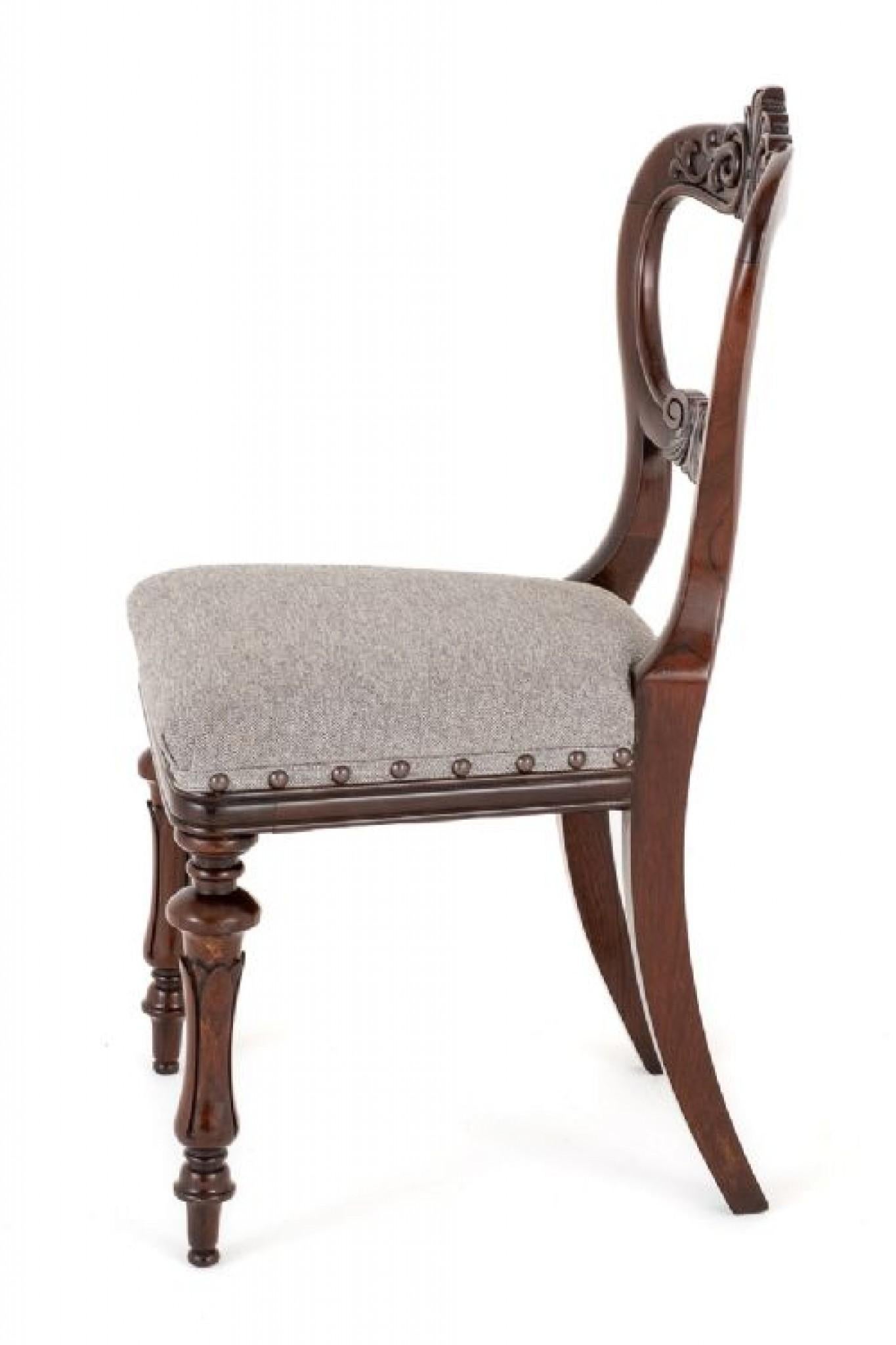 Rosewood William IV Dining Chairs 19th Century Furniture