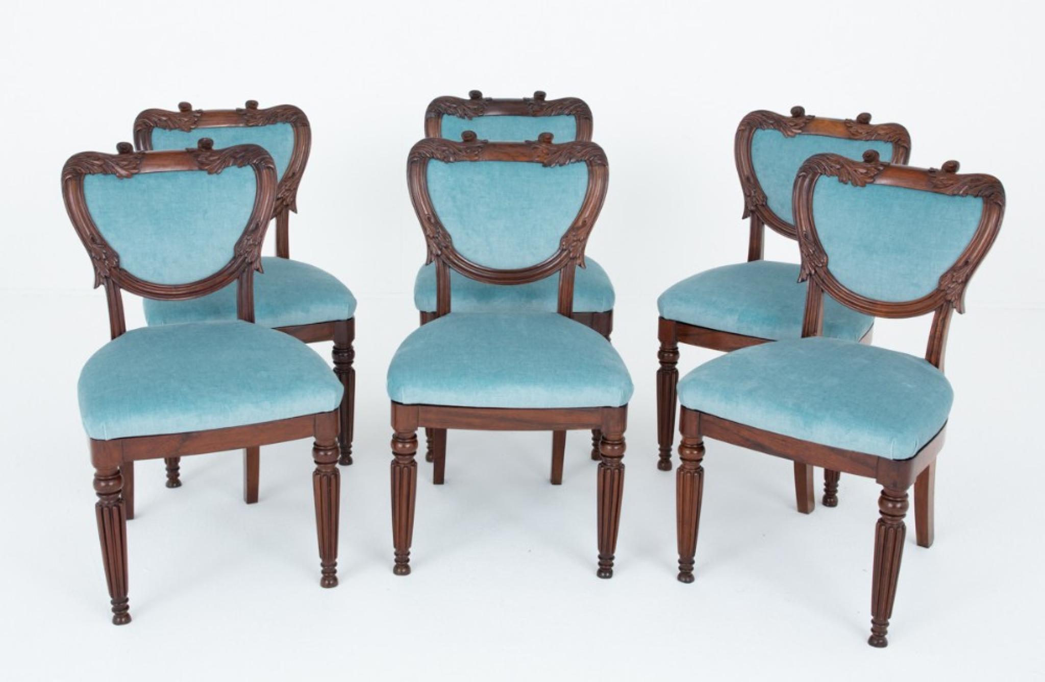 Guglielmo IV Sedie da pranzo William IV Gambe a gillo in mogano in vendita