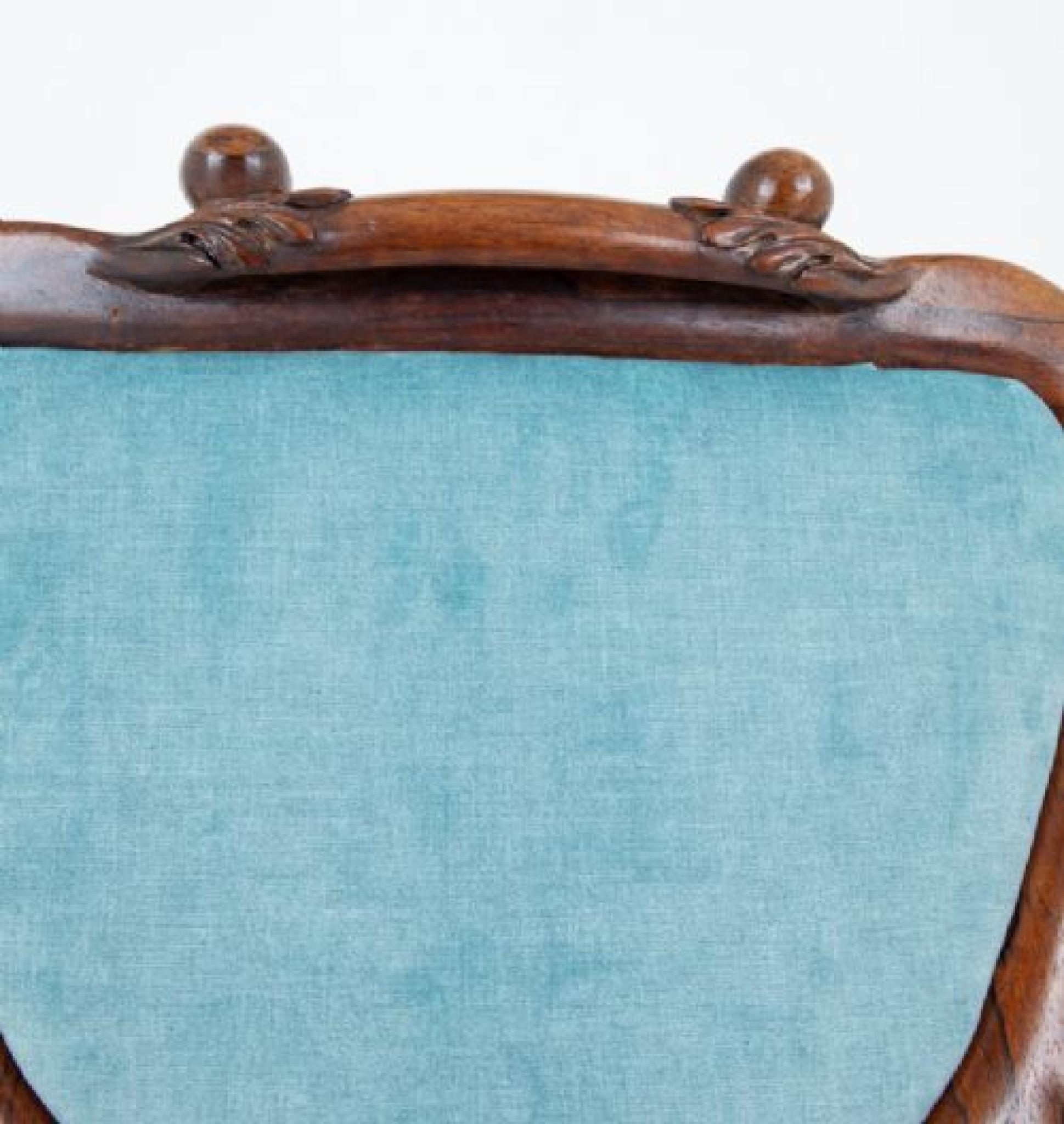 Fine XX secolo Sedie da pranzo William IV Gambe a gillo in mogano in vendita