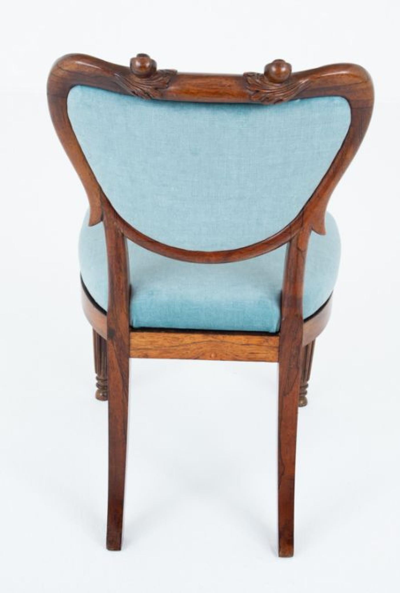 Mogano Sedie da pranzo William IV Gambe a gillo in mogano in vendita