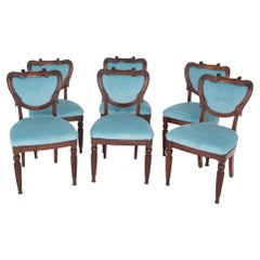 William IV Dining Chairs Mahogany Gillows Legs