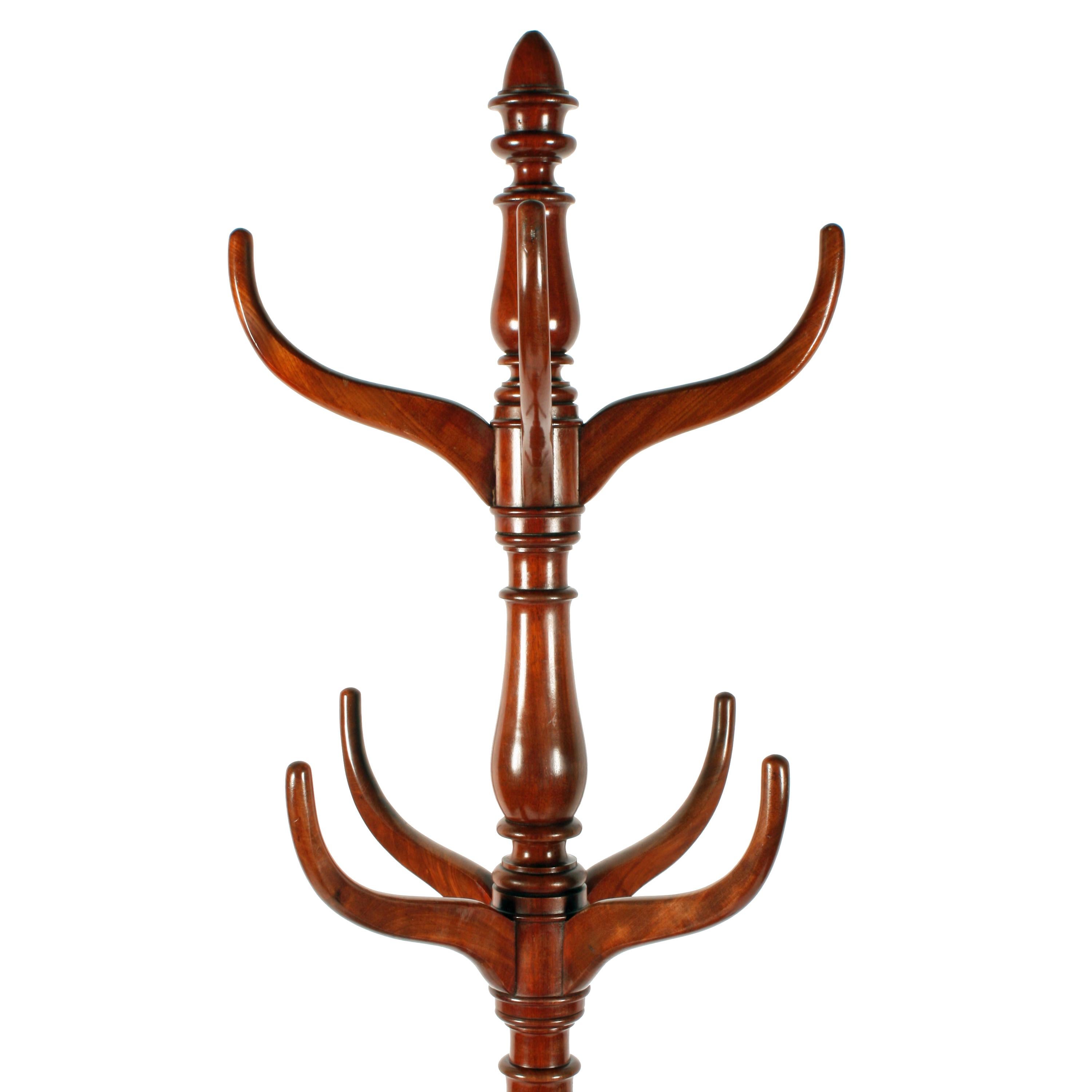 William IV Mahogany Hall Stand In Good Condition For Sale In Newcastle Upon Tyne, GB