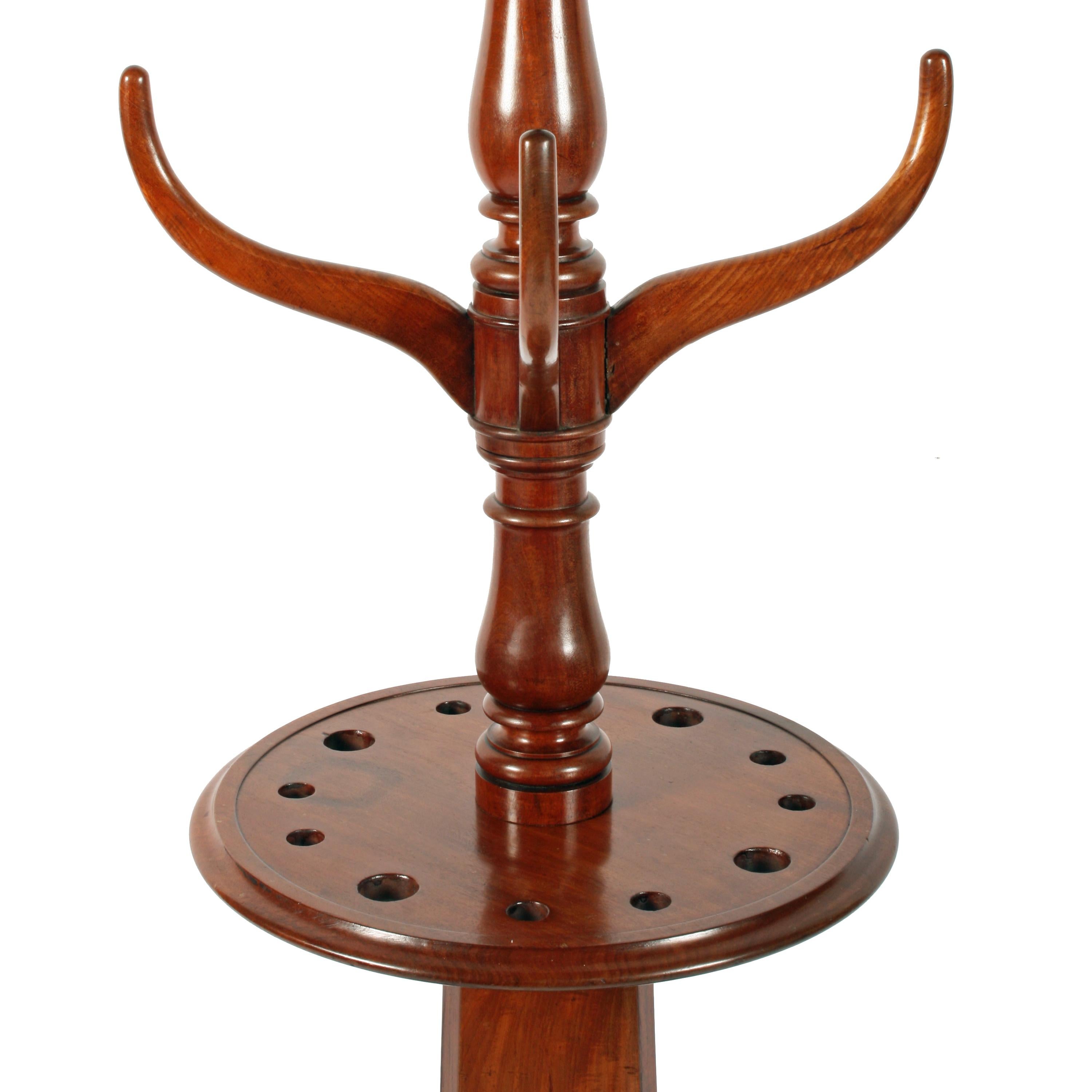 Mid-19th Century William IV Mahogany Hall Stand For Sale