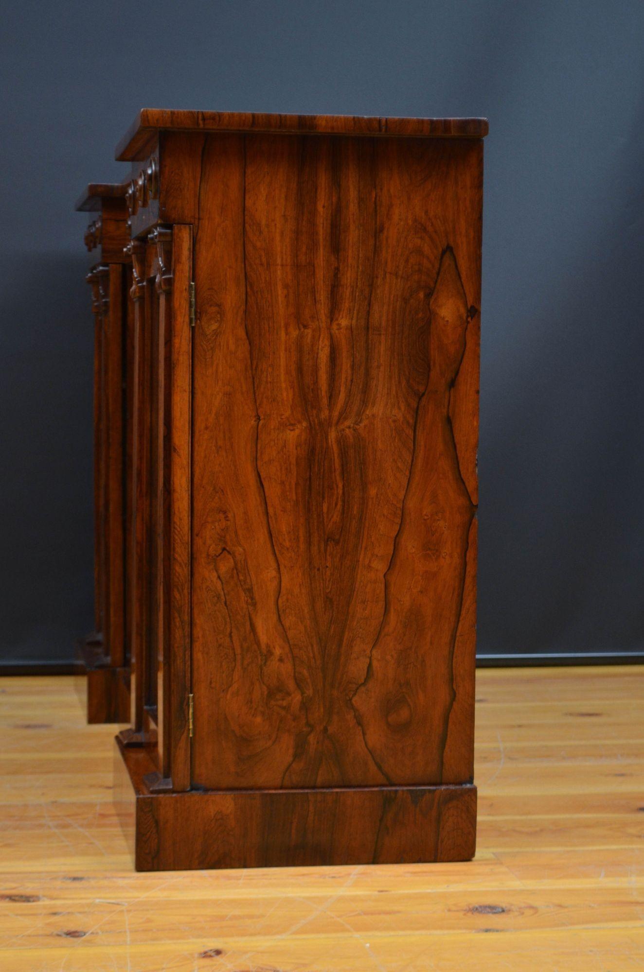 William IV Rosewood Bookcase or Sideboard For Sale 9