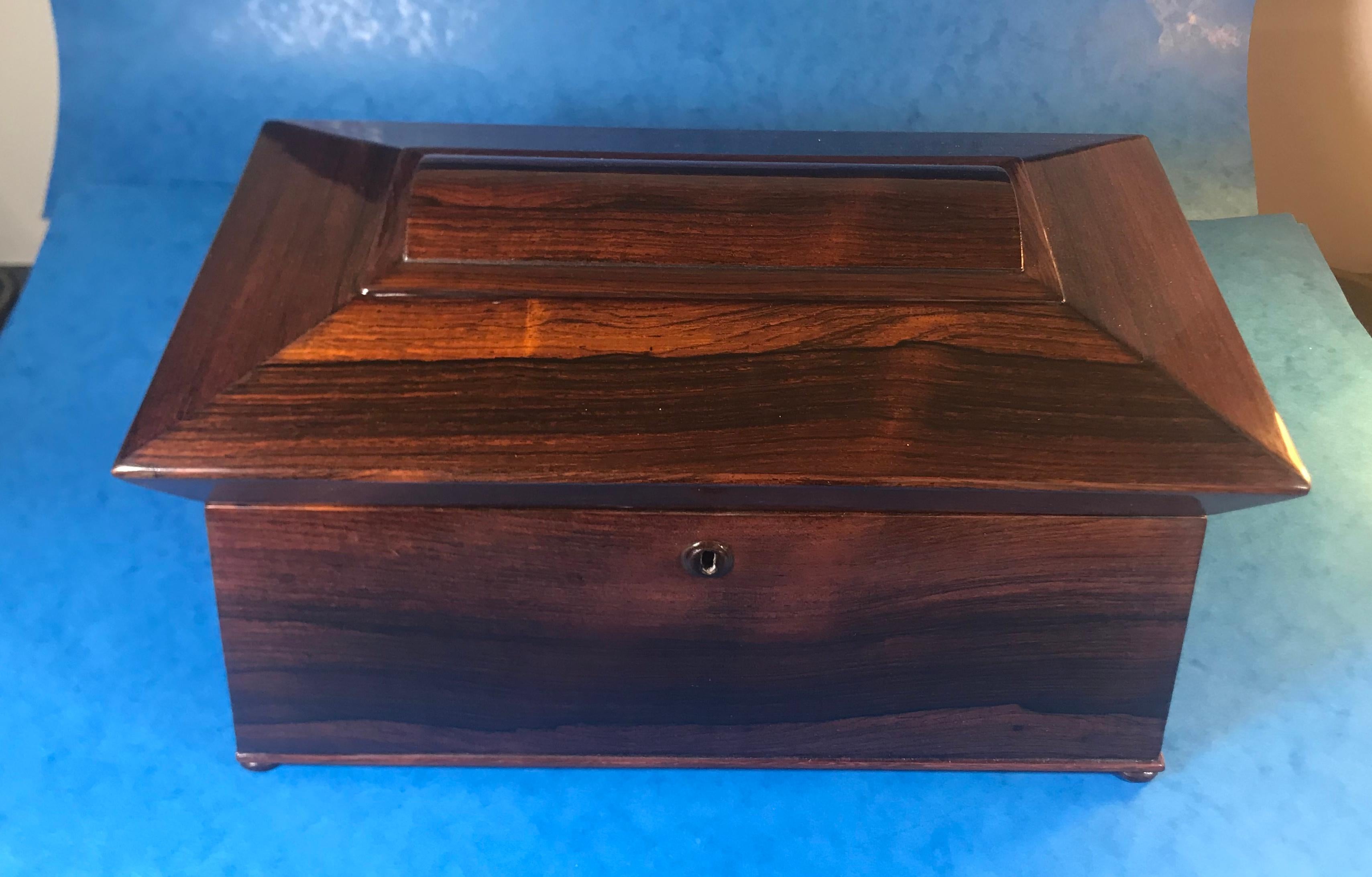 William IV Rosewood Sarcophagus Tea Caddy For Sale 5