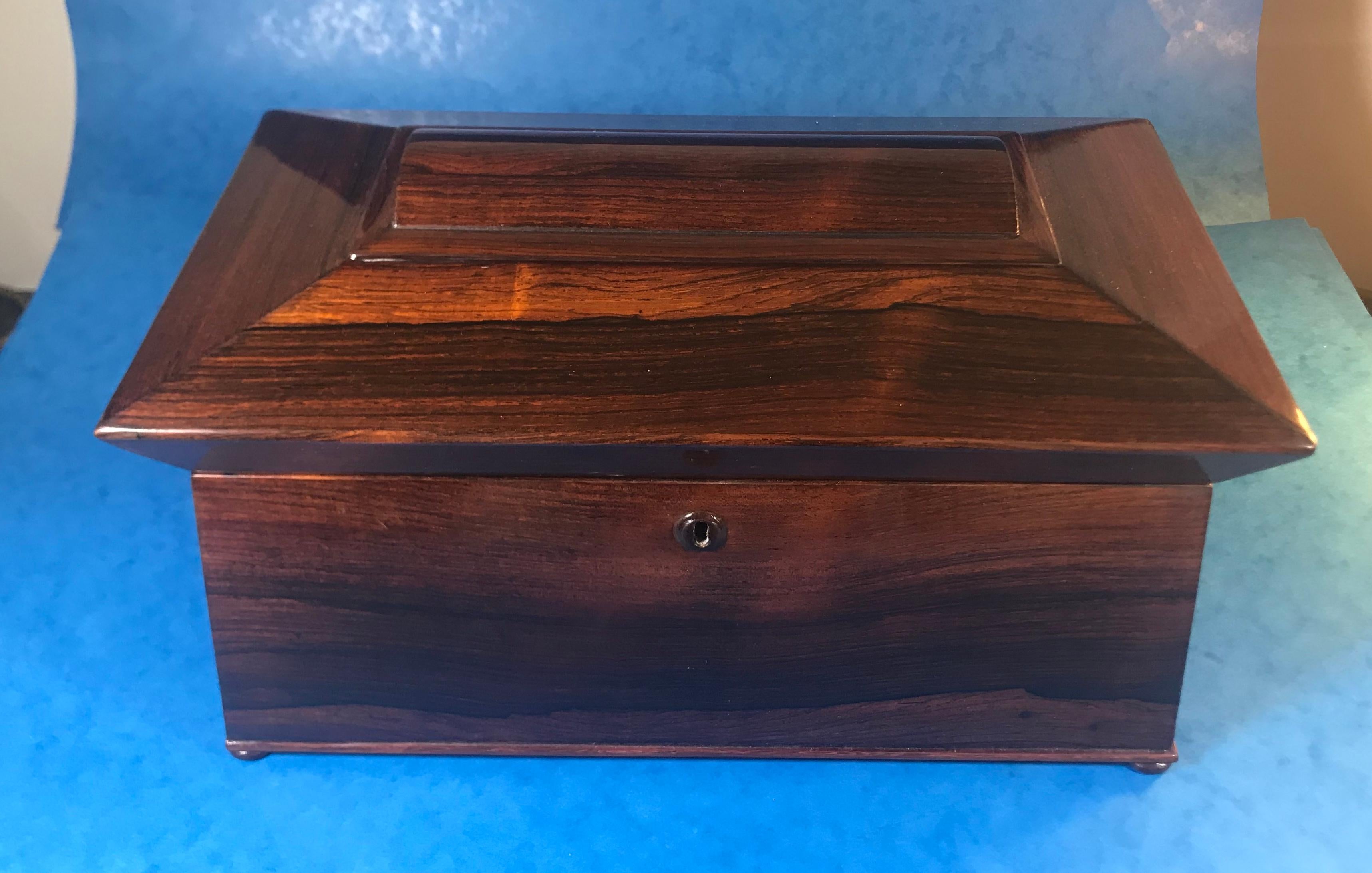 William IV Rosewood Sarcophagus Tea Caddy For Sale 6