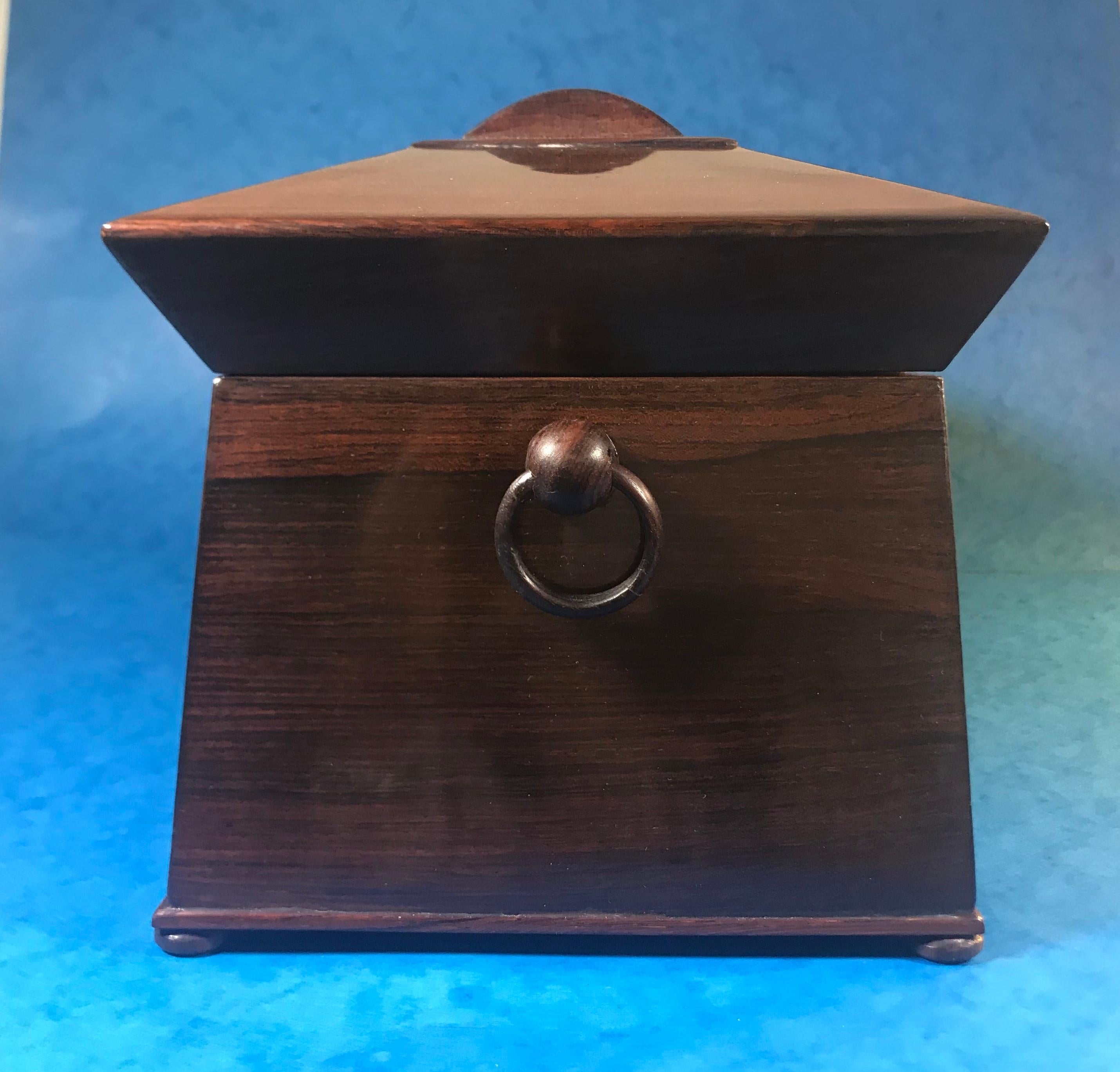 William IV Rosewood Sarcophagus Tea Caddy For Sale 7