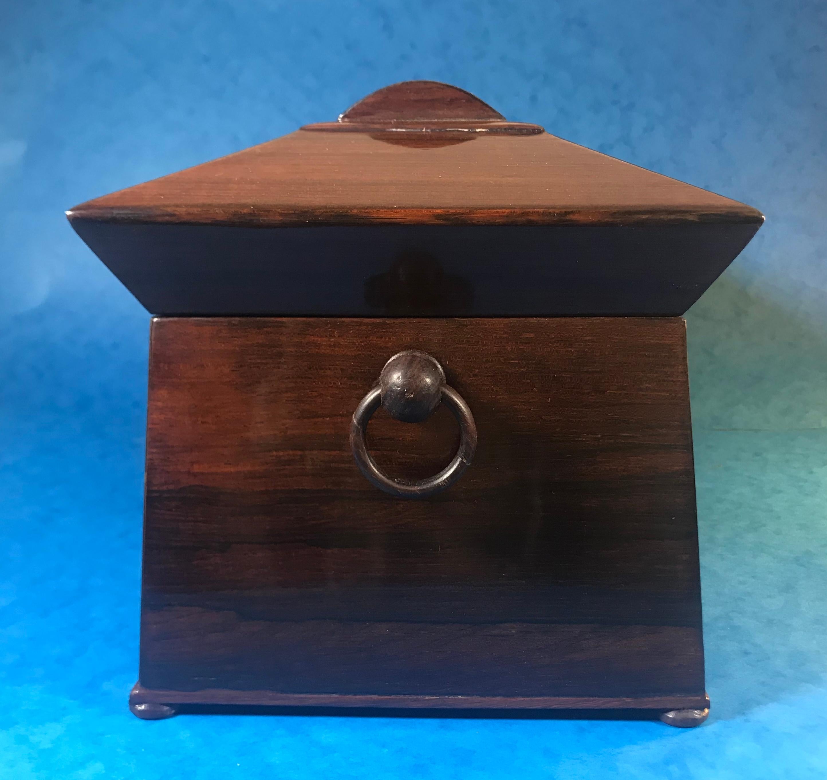 William IV Rosewood Sarcophagus Tea Caddy For Sale 10