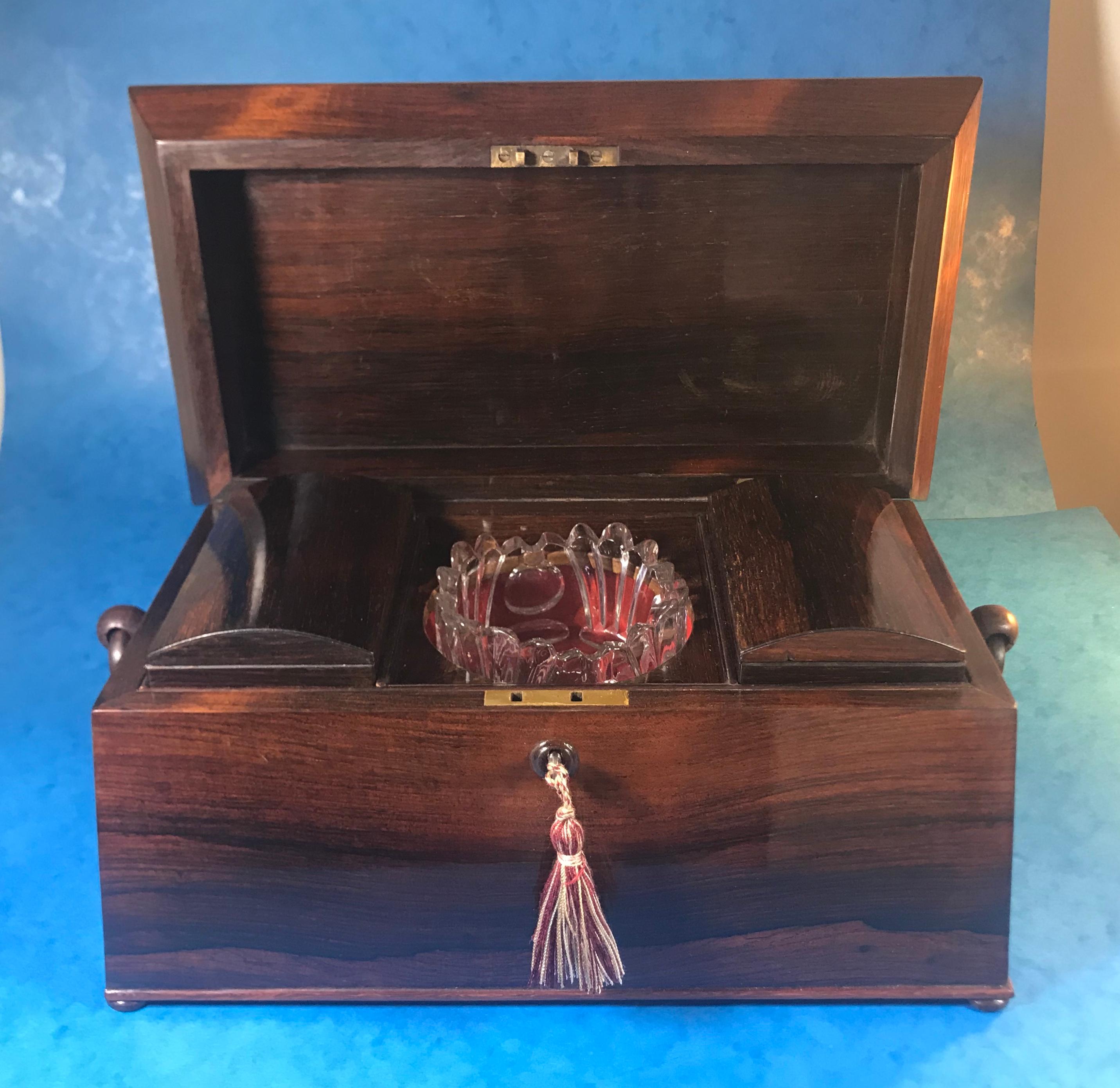 William IV Rosewood Sarcophagus Tea Caddy For Sale 12