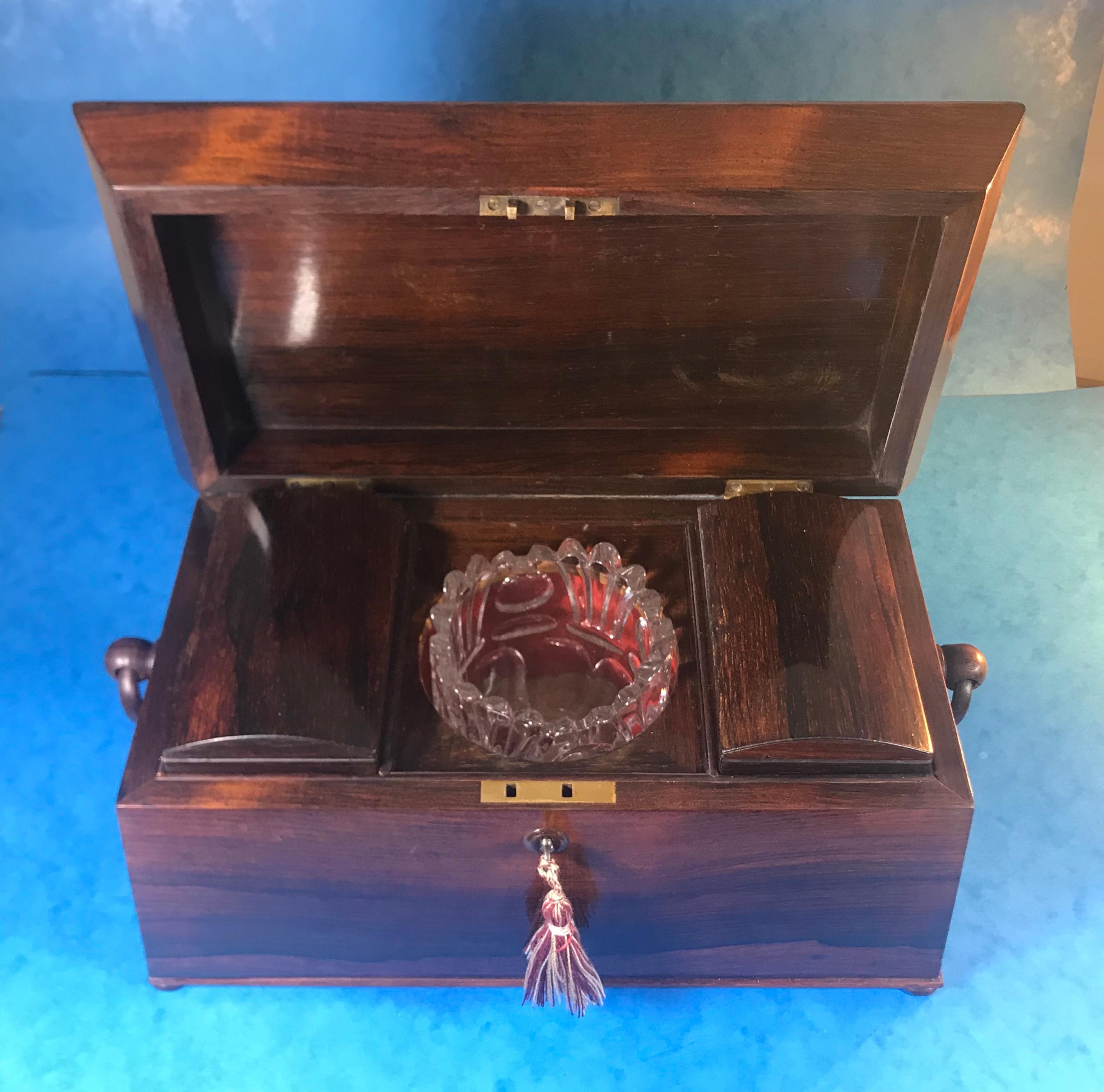 William IV Rosewood Sarcophagus Tea Caddy For Sale 13