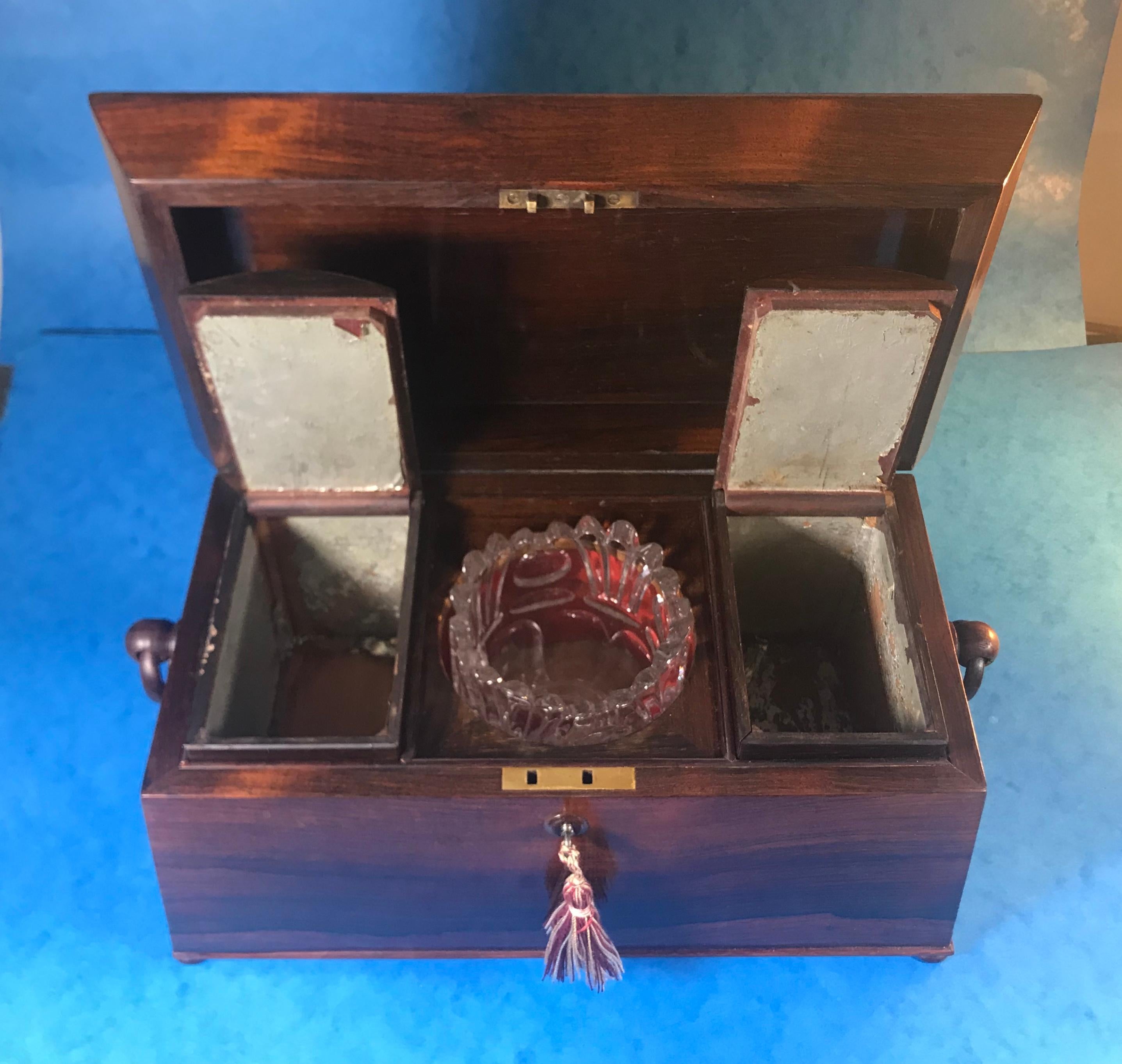 William IV Rosewood Sarcophagus Tea Caddy For Sale 14