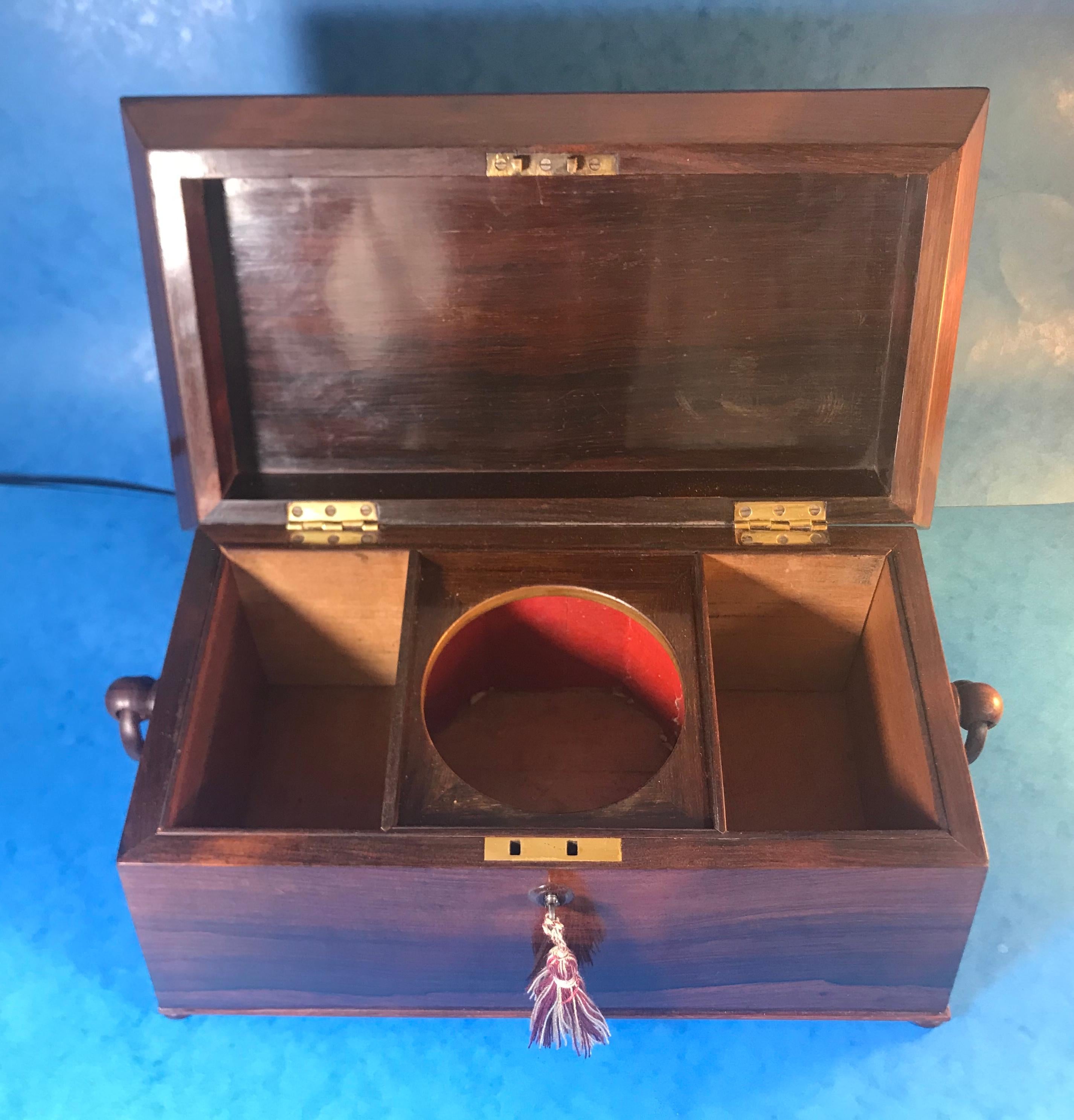 William IV Rosewood Sarcophagus Tea Caddy For Sale 15